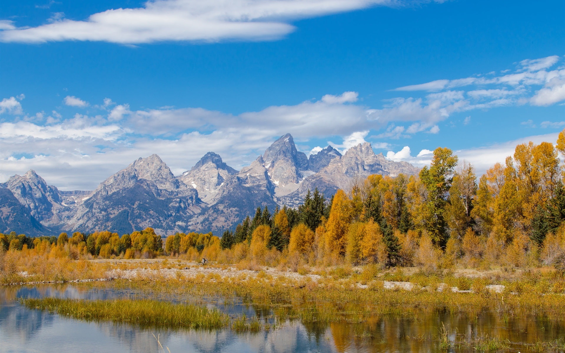 Trees, leafed, Autumn, brown, Mountains, Grand, Wyoming, Teton, River, USA, 1080P, National, Park, HD Wallpaper