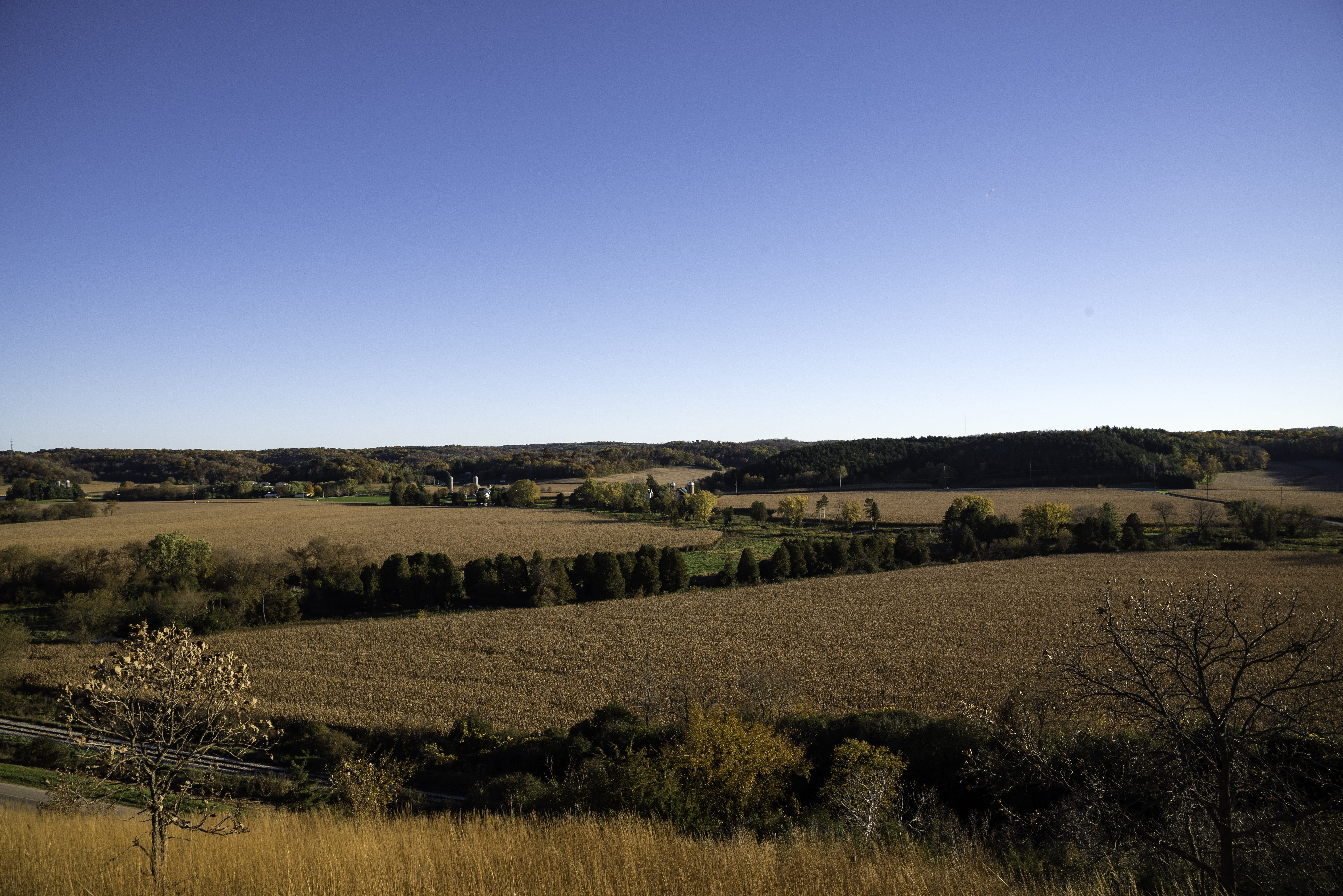 hill, no People, environment, tree, clear sky, farmland, land, United States, animals in the wild, landscape, summer, rural Scene, outdoors, nature, scenics, HD Wallpaper
