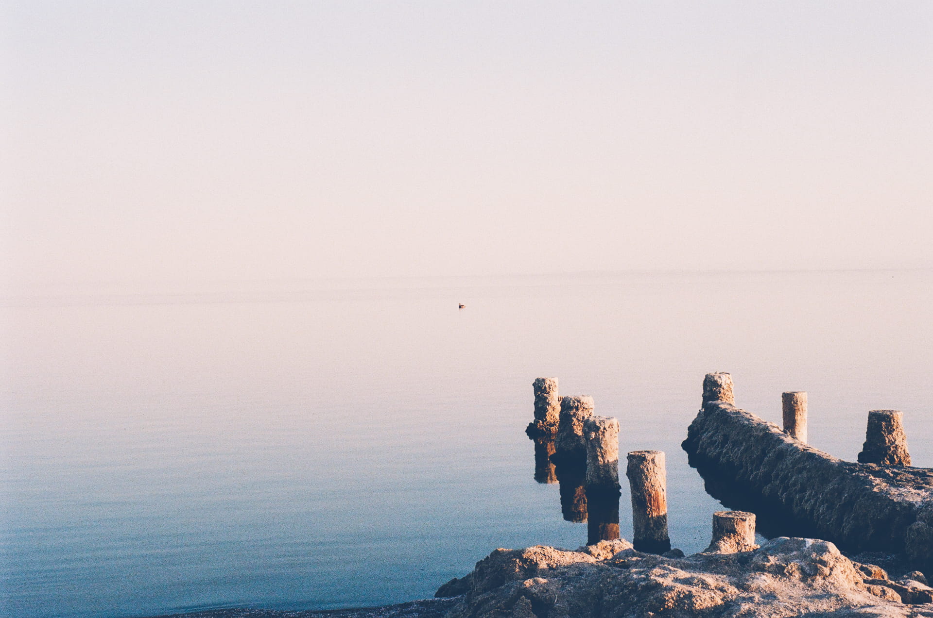tranquility, day, calm, time, scenics, sky, solid, rock, clear sky, coastline, tranquil scene, horizon, sea, pink, copy space, nature, 1080P, water, animal, HD Wallpaper