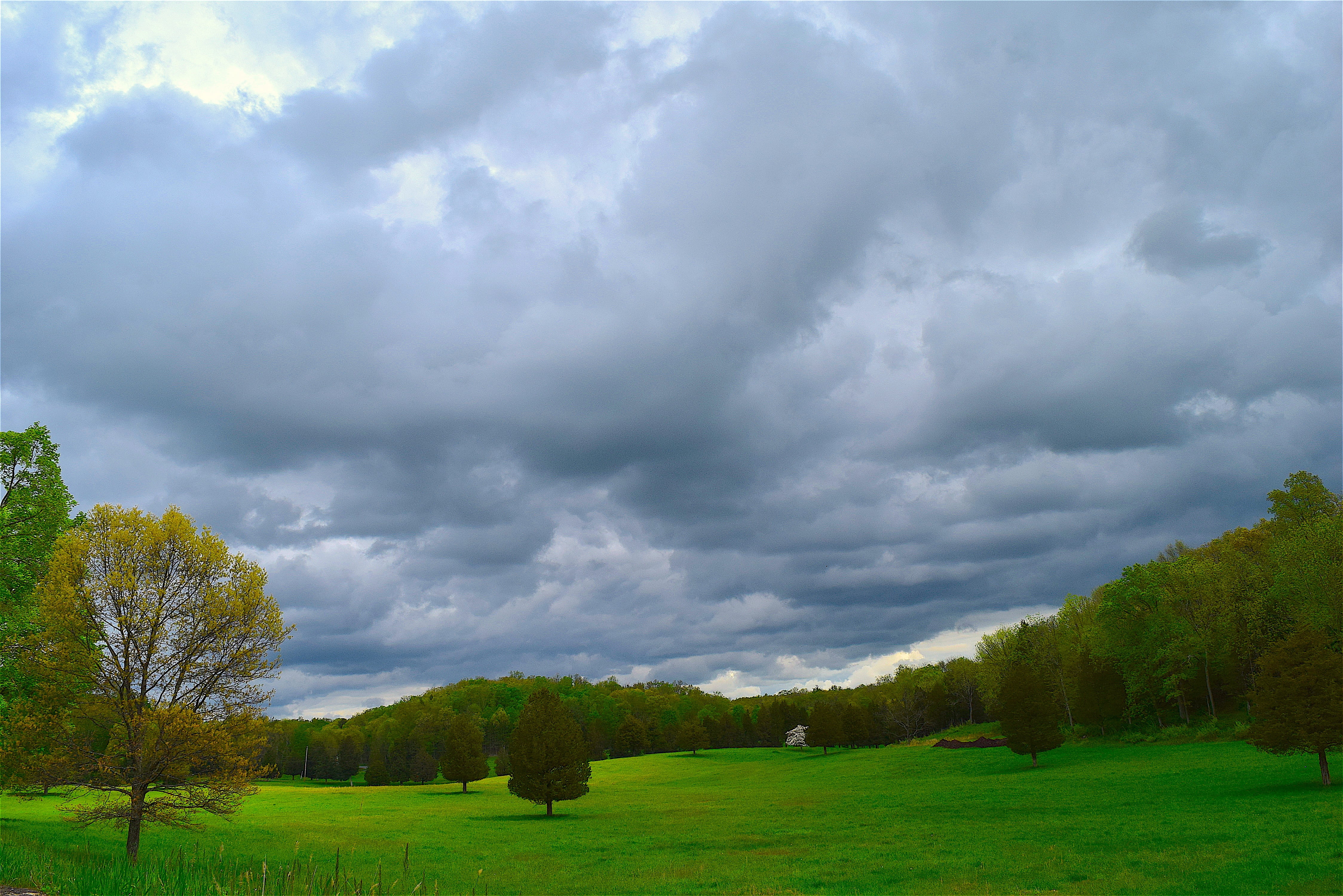 lawn, sunny, ominous, overcast, garden, green Color, grass, field, scenics - nature, Trees, blue, outdoors, park, rural Scene, spring, Landscape, environment, HD Wallpaper