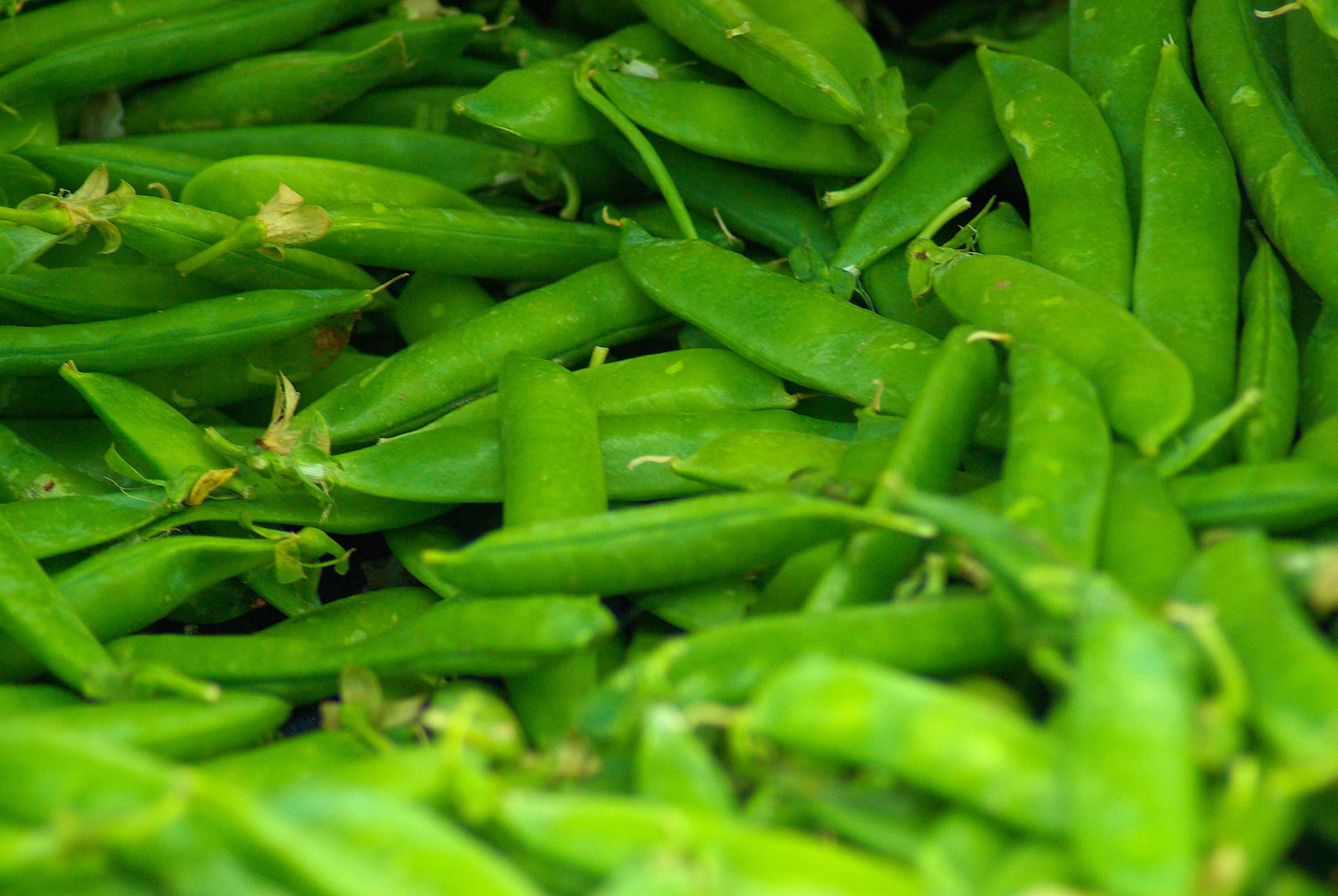 seed, business, hole, no people, full frame, jackson, vegetable, healthy, fresh, green, beans, close-up, market, abundance, beans at jackson market, heap, HD Wallpaper