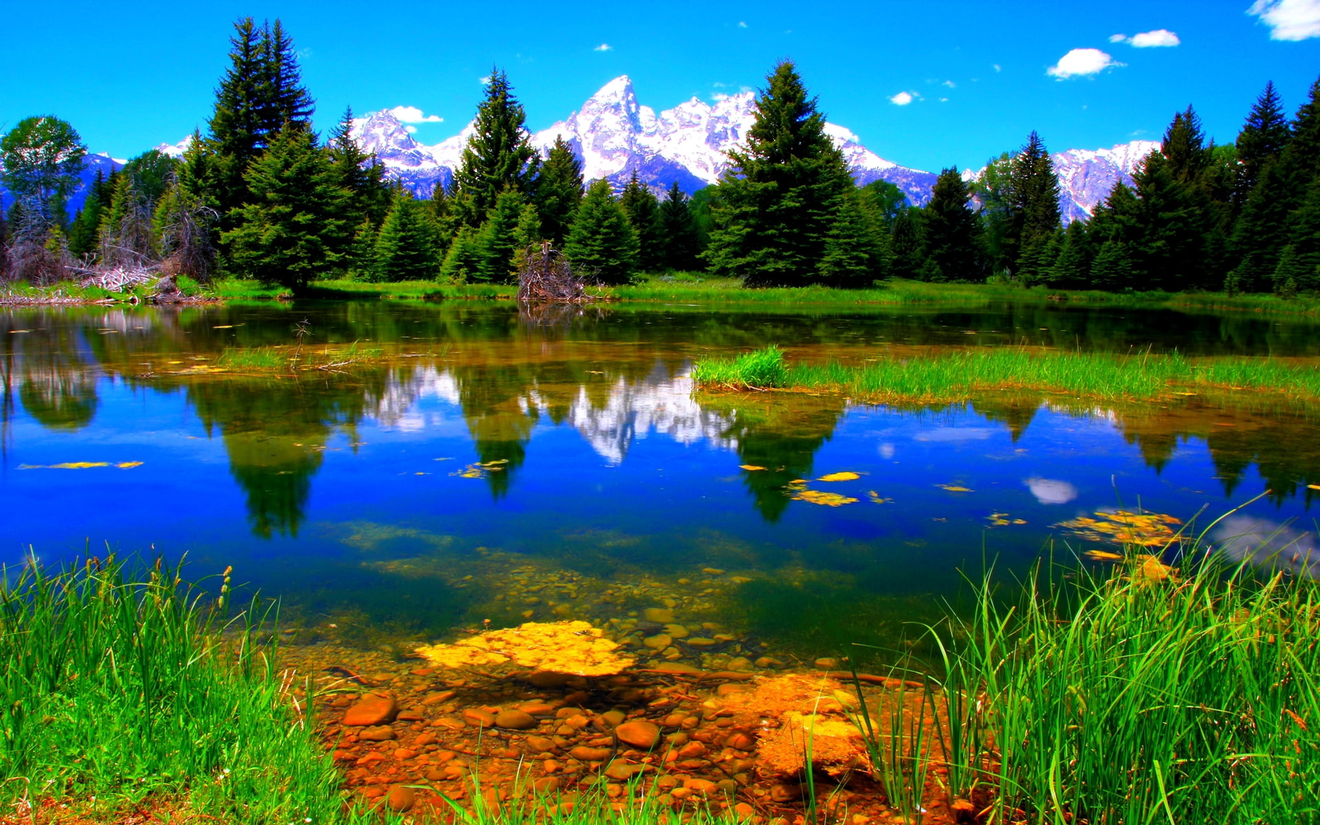 beautiful, mountains, 1080P, nature, National Park, art, lake, hd, grand Teton, forest, lakes, Landscape, grand, teton, HD Wallpaper