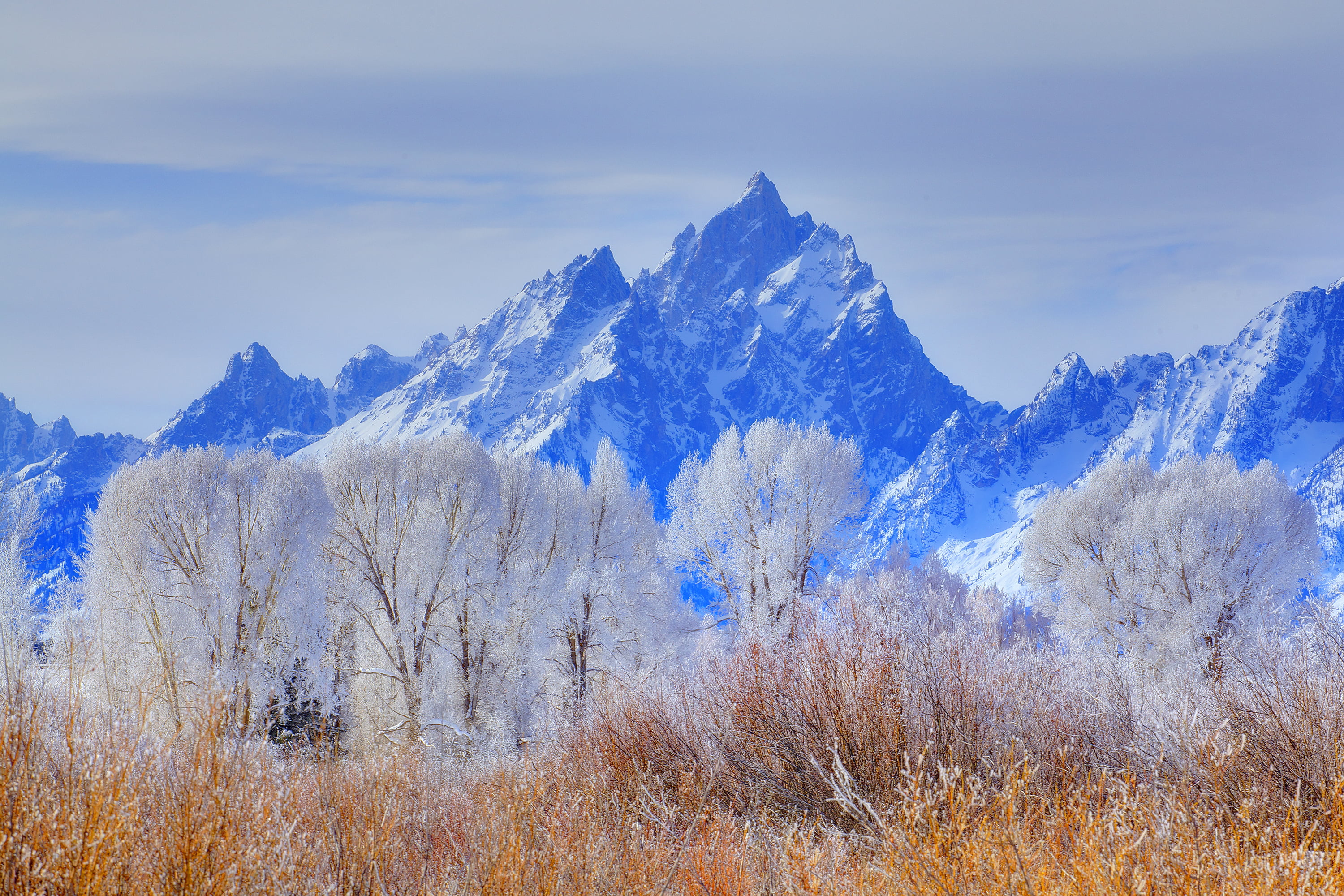 usa, season, day, tree, snowcapped mountain, winter, mountain Peak, meadow, nature, summer, mountain, trees, white, snow, autumn, panoramic, cold temperature, HD Wallpaper