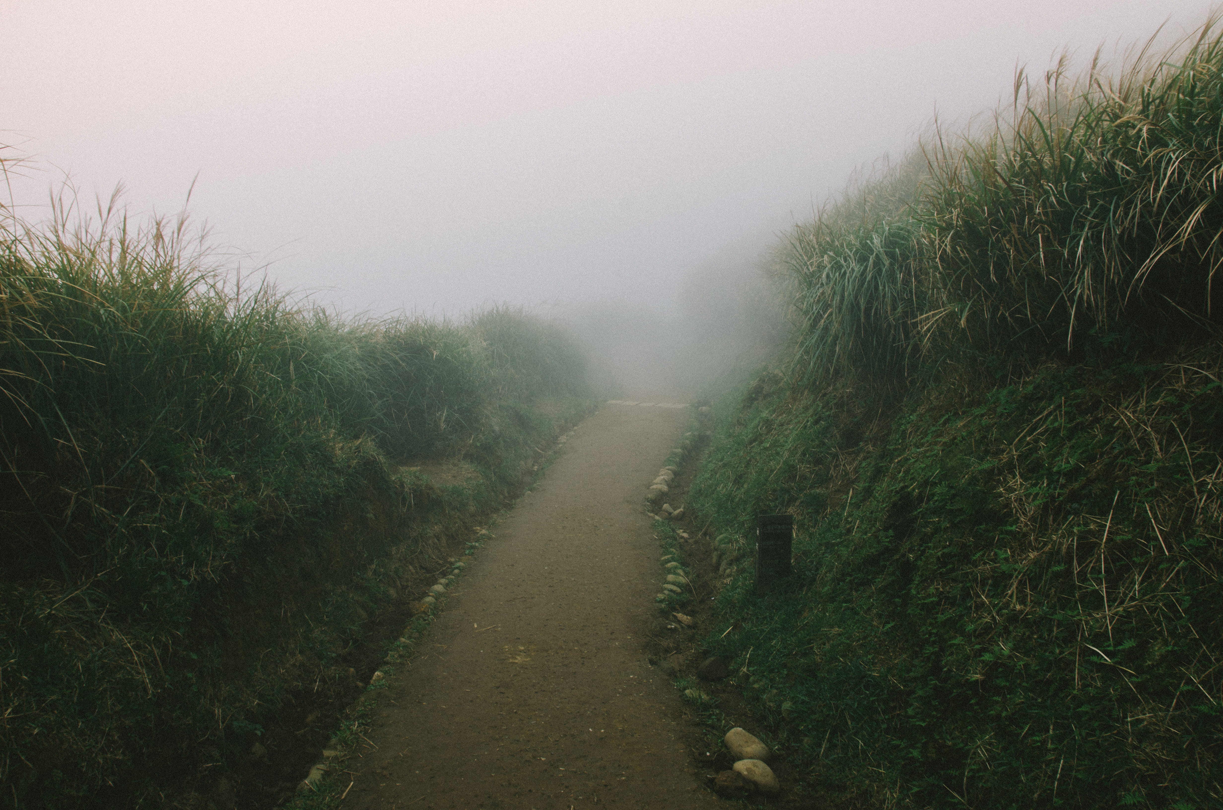 day, 4K, grass, footpath, grasses, daytime, green color, slate, no people, mist, fir, outdoors, tree, trail, building, landscape, mountain, plant, ground, HD Wallpaper