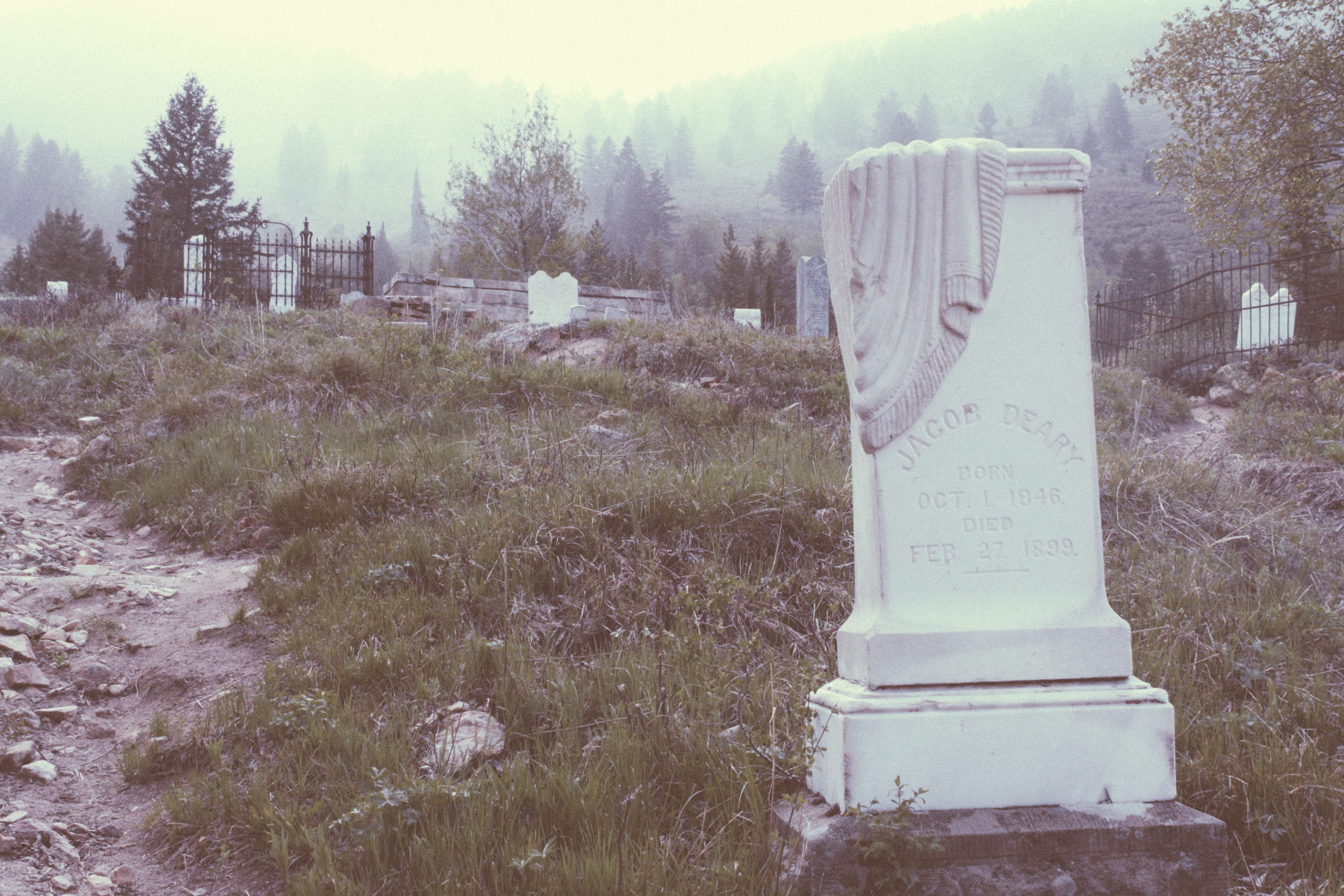 scenics - nature, food, field, built structure, ship, tombstone, text, cake, landscape, no people, tomb, growth, day, wedding cake, cruiser, western script, HD Wallpaper