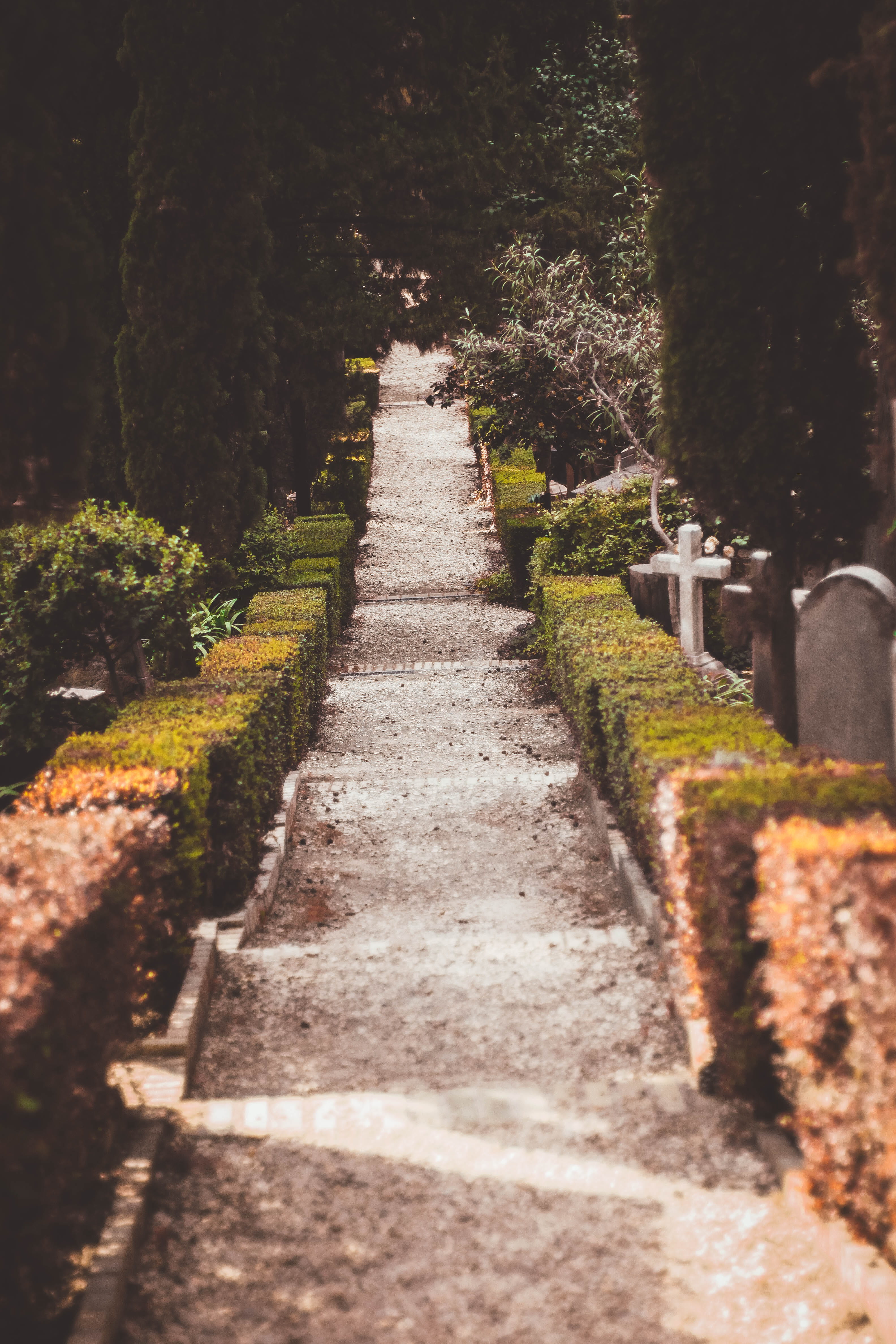 4K, spire, building, in a row, day, outdoors, architecture, footpath, flagstone, tombstone, steeple, vanishing point, growth, beside, topiary, nature, Phone HD Wallpaper