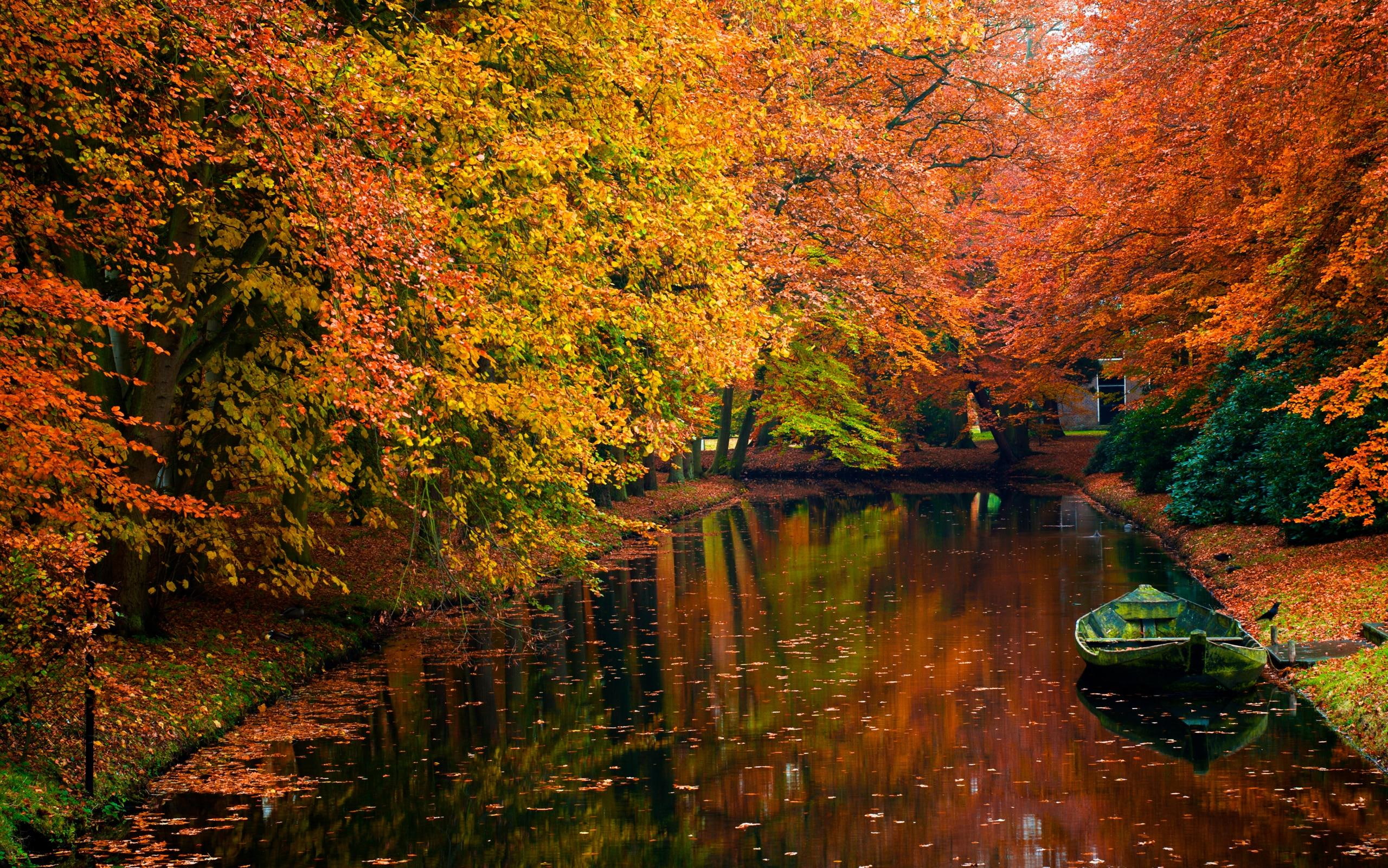 riwer, boat, nice, tranquility, still water, cano, lake, color, leaves, autumn, shore, 2K, water, river, HD Wallpaper