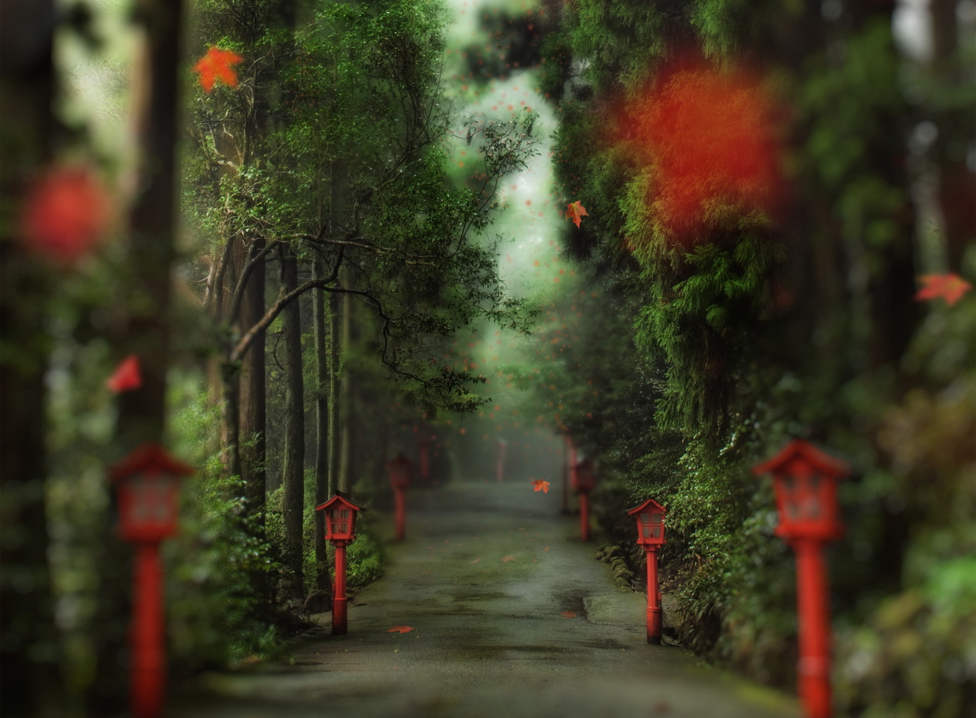 fog, outdoors, Forest, beauty in nature, plant, the way forward, cemetery, nature, green, Road, Trees, tranquil scene, no people, leafed, direction, Asia, HD Wallpaper