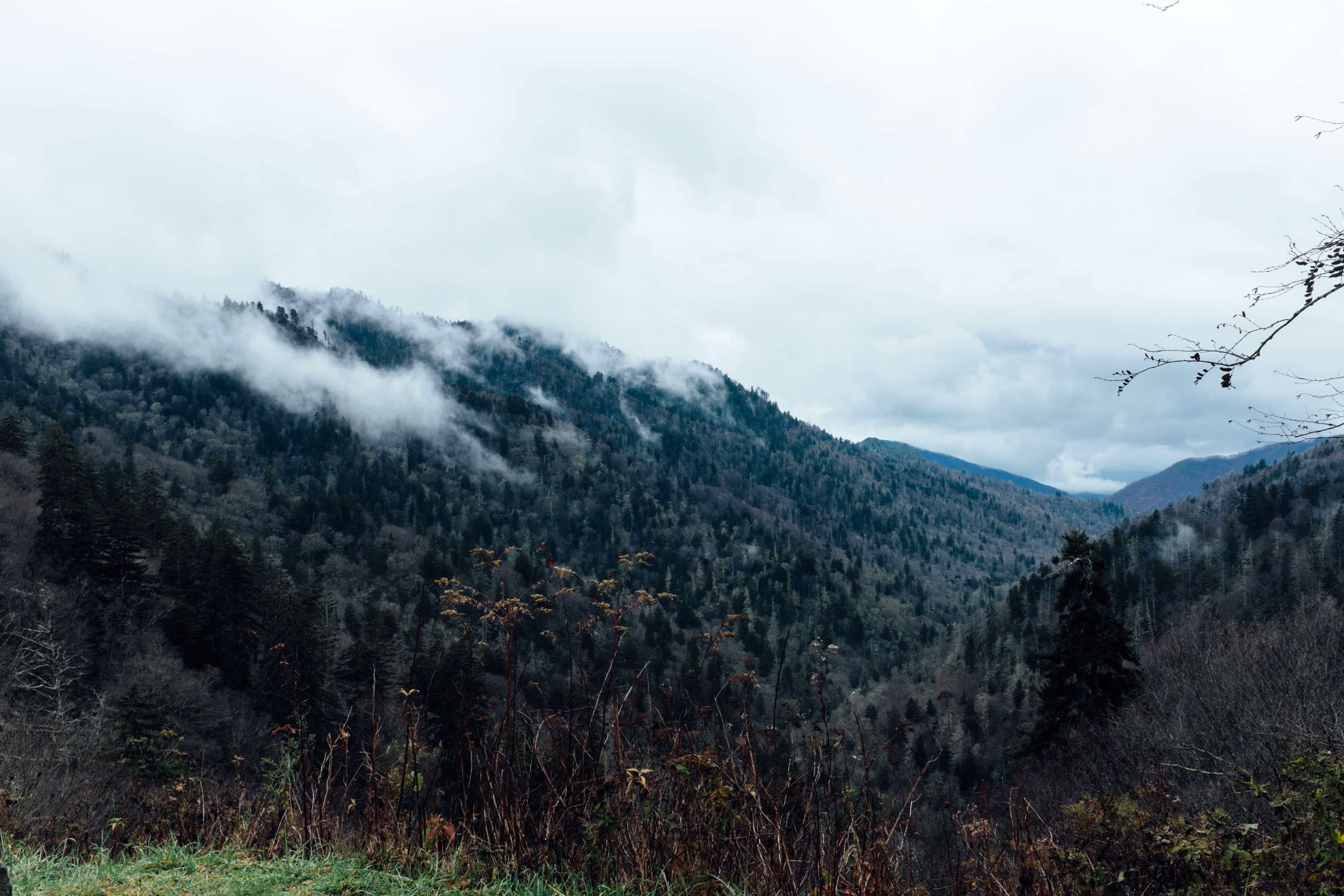 fog, mountain, non-urban scene, environment, plant, Clouds, mountains, photos, snow, nature, day, no people, tranquil scene, land, smoky, public domain, HD Wallpaper