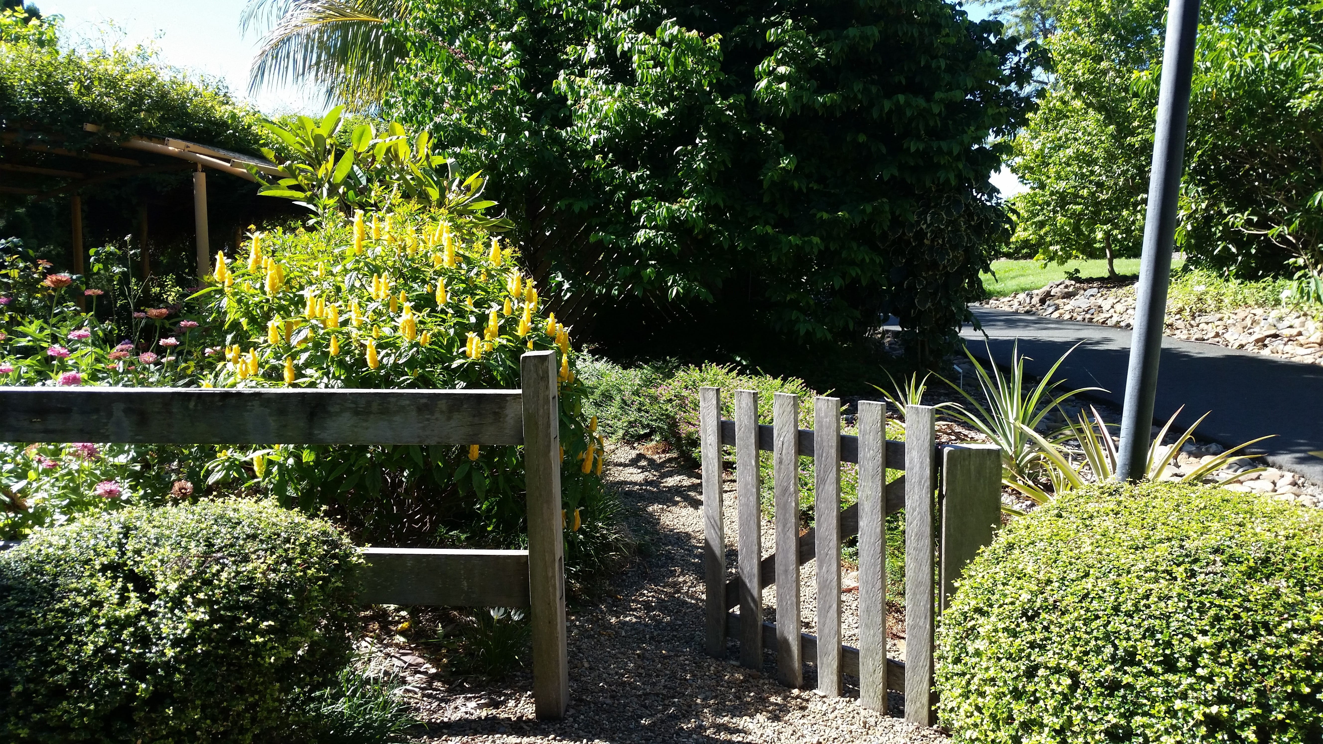 flowering plant, sunlight, Gate, green, Park, barrier, Nature, built structure, gardening, front or back yard, Garden, grass, nature, day, plant, summer, HD Wallpaper