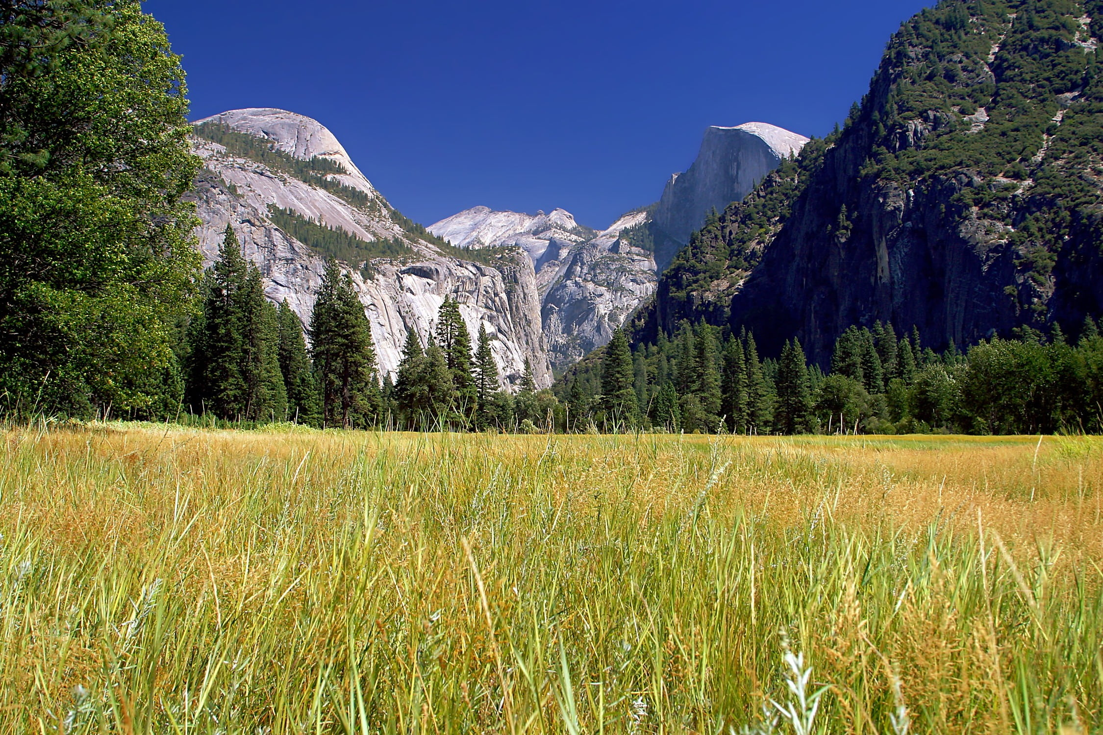 scenic, yosemite national park, sky, green, mountain peak, snowcapped mountain, california, plant, summer, land, 1080P, environment, mountain range, scenics - nature, HD Wallpaper