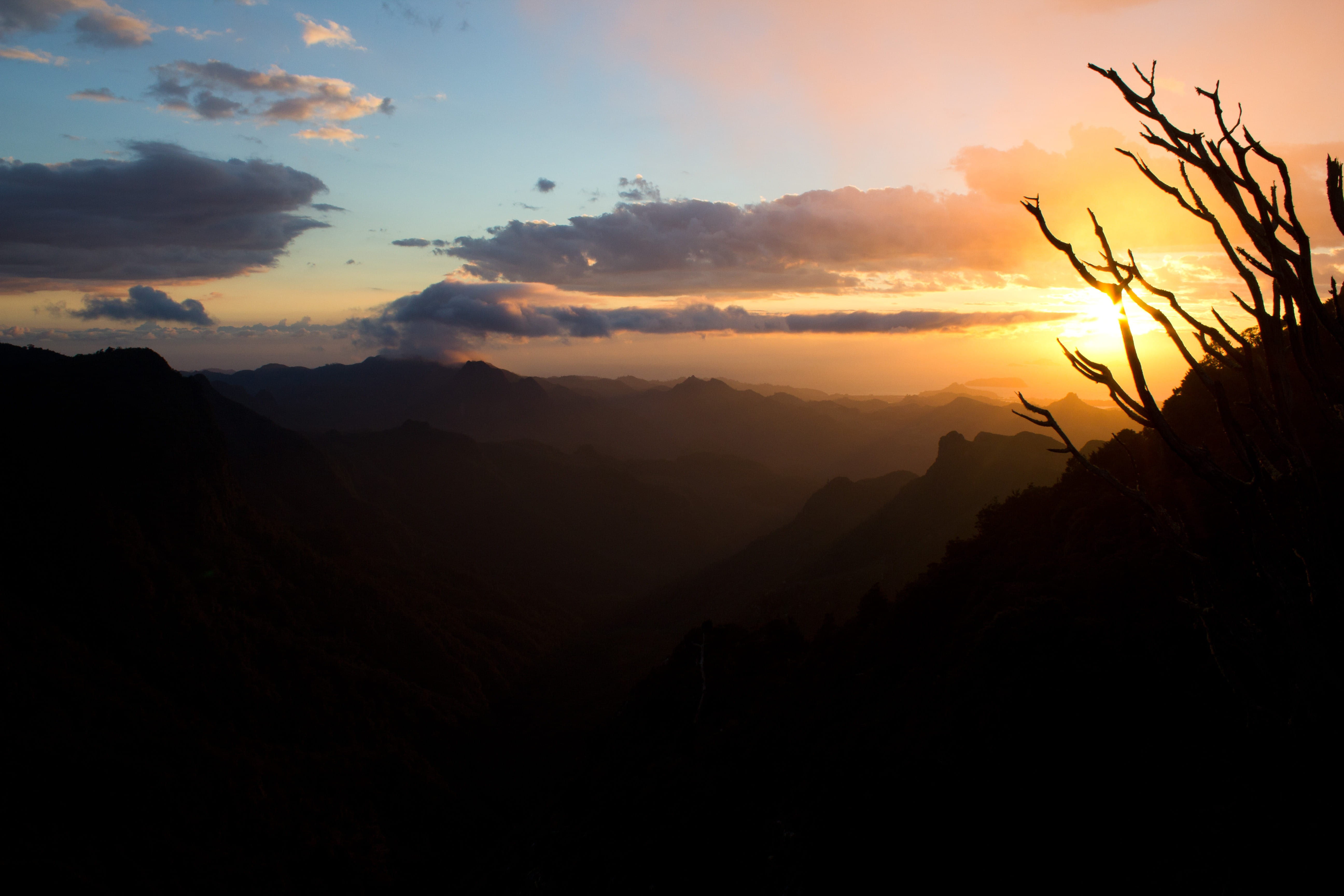 evening, jungle, sunlight, no people, dark, mountain range, hiking, environment, tranquility, clouds, hour, silhouette, trekking, woods, landscape, idyllic, HD Wallpaper