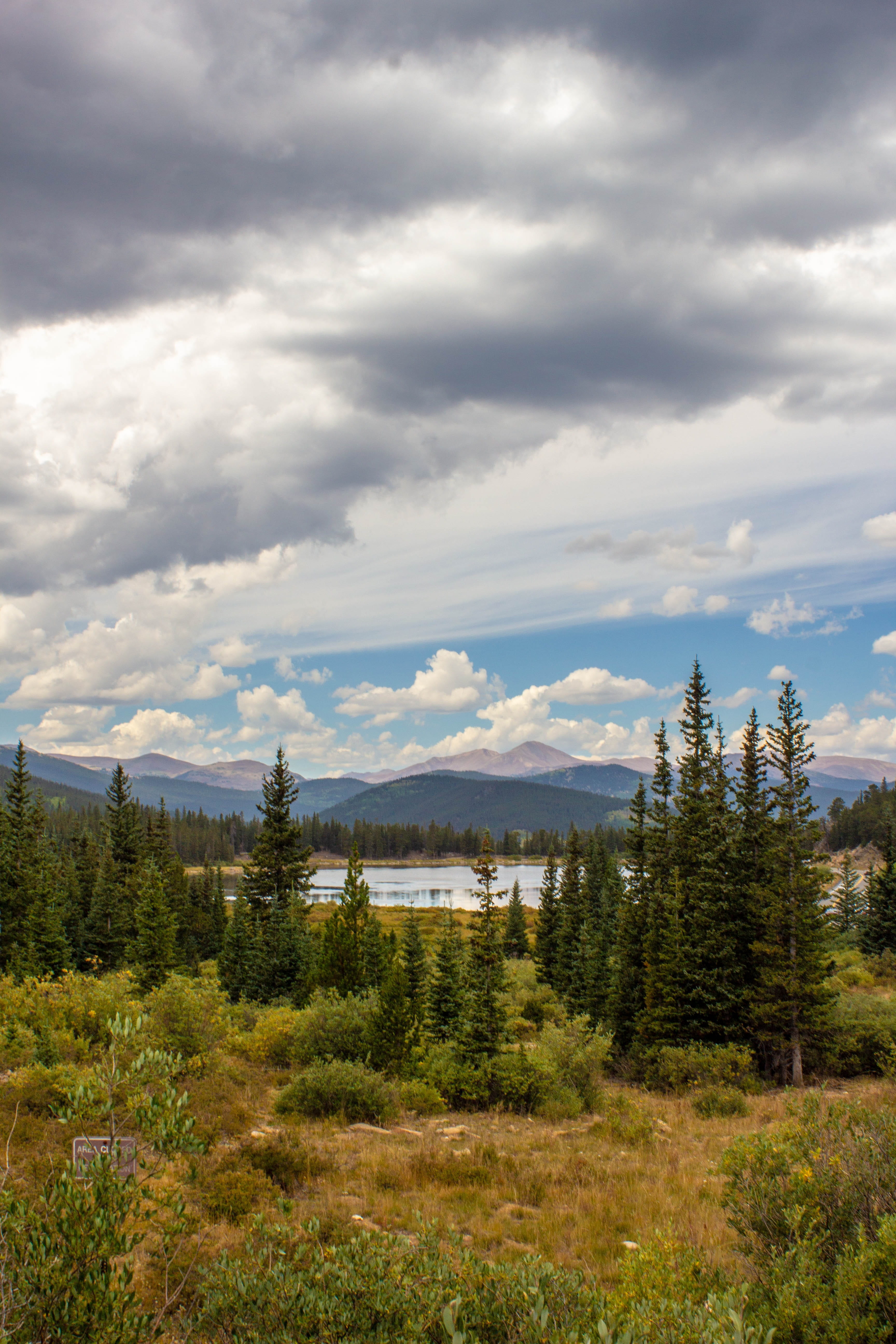 coniferous tree, scenics - nature, plant, clouds, forest, cloud - sky, 5K, trees, skyline, blue, park, nature, pine tree, mountains, sun, landscape, tranquility, Phone HD Wallpaper