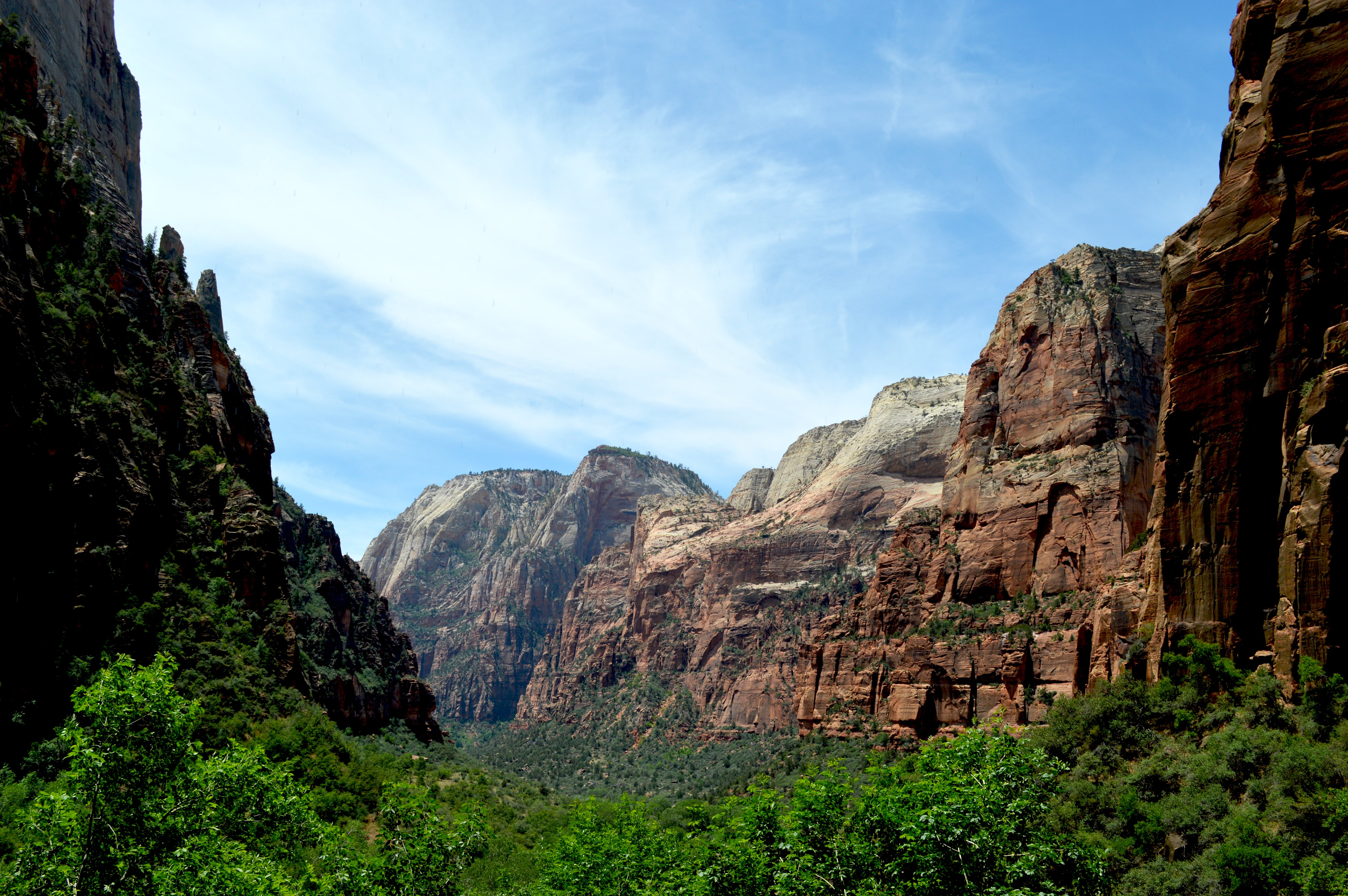 rock - object, mountain, day, scenic, non-urban scene, geology, nature, park, zion, valley, no people, eroded, utah, scenics - nature, plant, stone, landscape, HD Wallpaper