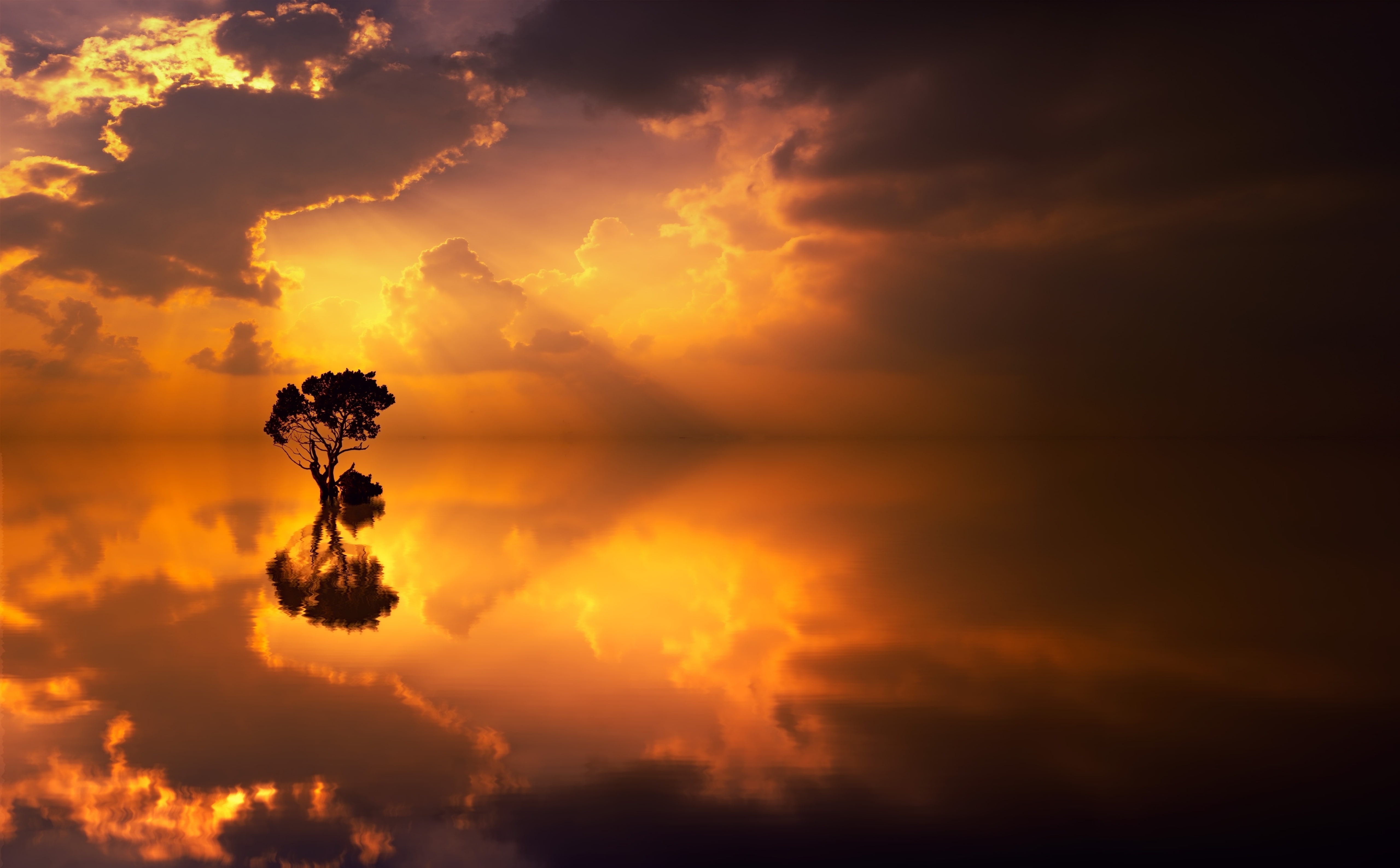 sunset, GodRays, Water, Photography, Tree, CrepuscularRays, 5K, Waterscape, Golden, Endless, Minimal, Picturesque, Mirroring, Sun and Sky, Ocean, Reflection, HD Wallpaper