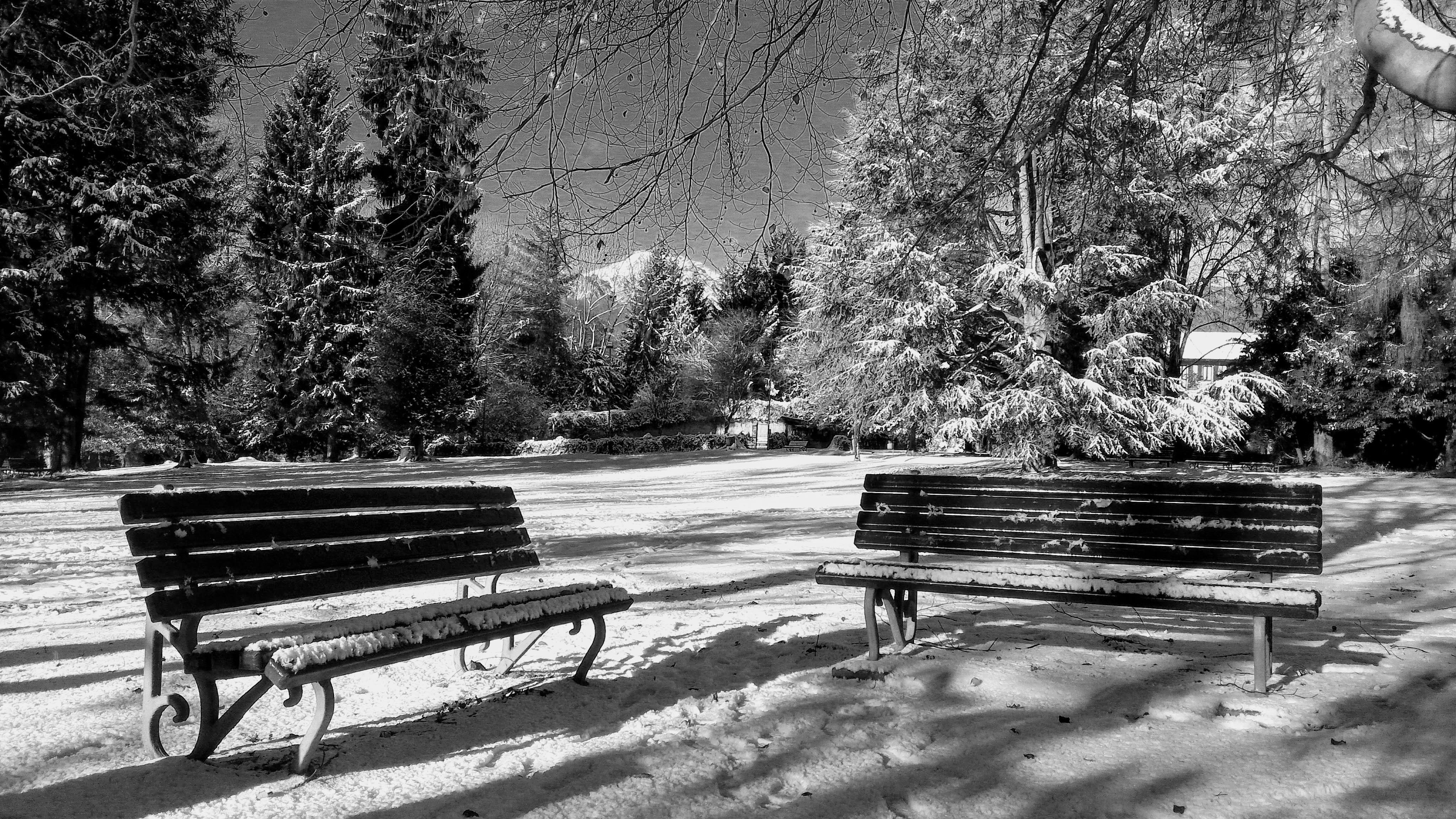 Landscape, sunlight, absence, nature, 4K, winter landscape, wood - material, park bench, outdoors, relaxation, trees, growth, park - man made space, beauty in nature, HD Wallpaper