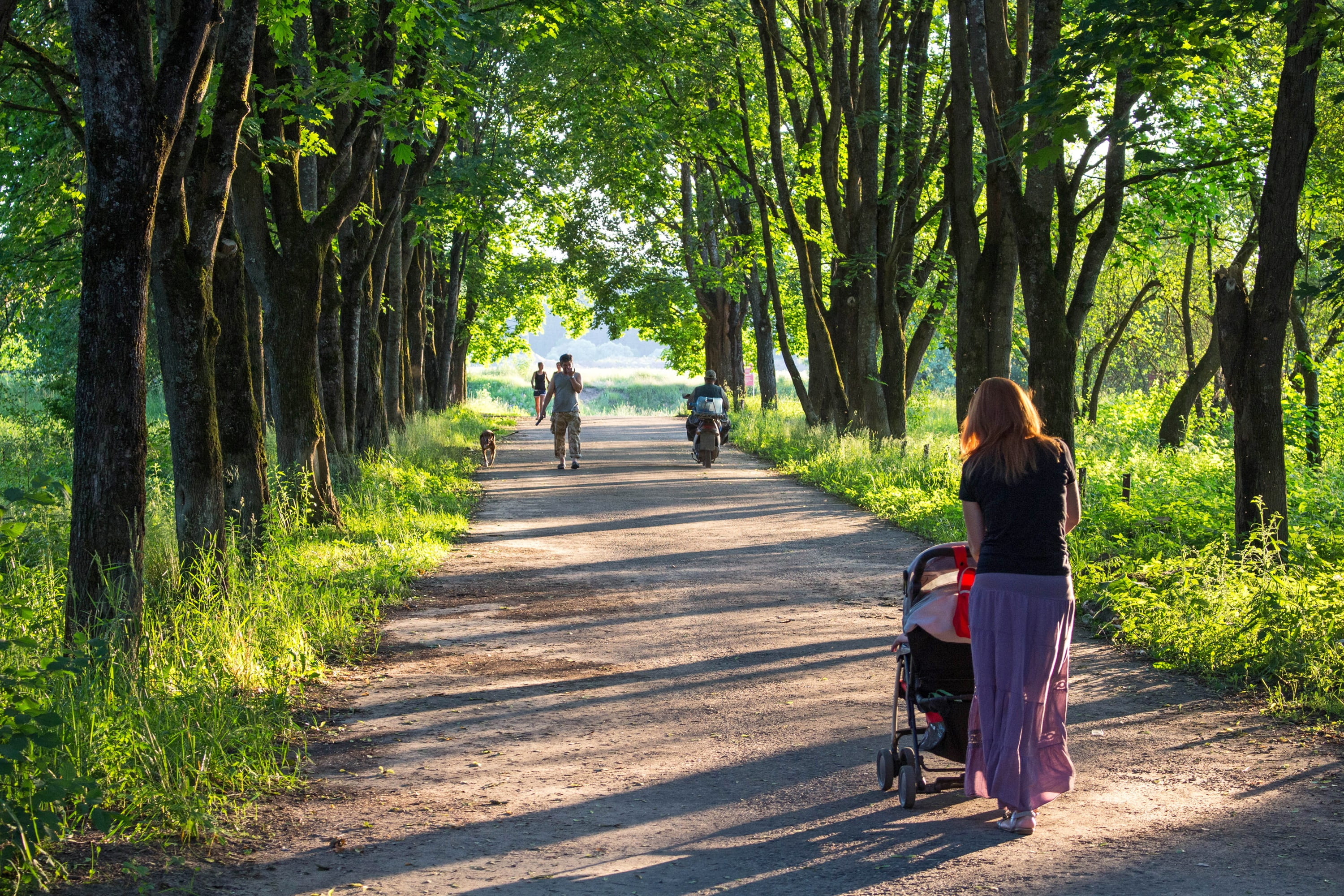 women, people, few people, tall, adult, stroll, real people, holding, footpath, 2K, walking, road, basswood, track, alley, diminishing perspective, trees, HD Wallpaper