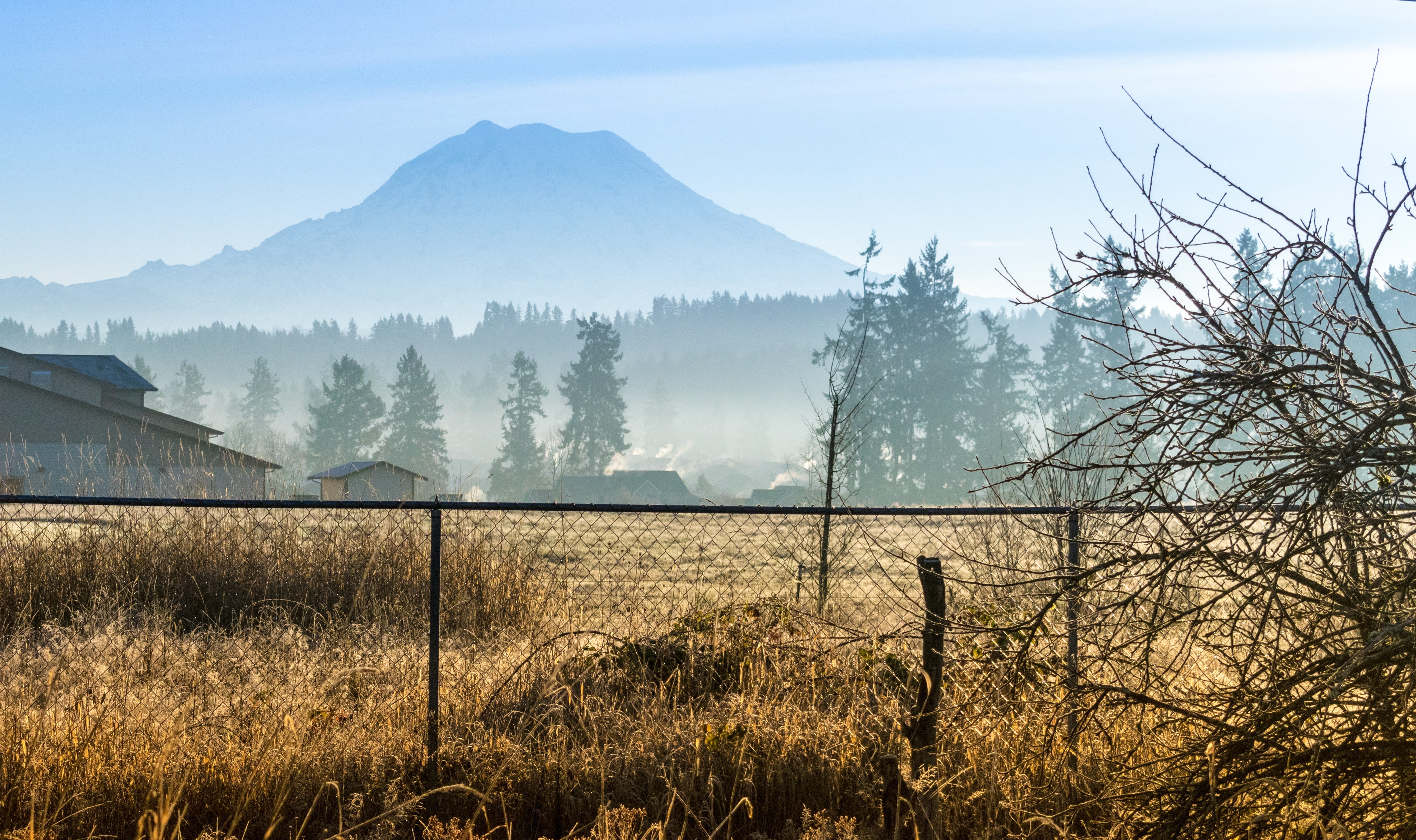 park, america, summit, sky, mt, summer, rainier, land, glacier, 4K, environment, mount, green, pacific, usa, day, grasses, alpine, national, tranquil scene, HD Wallpaper