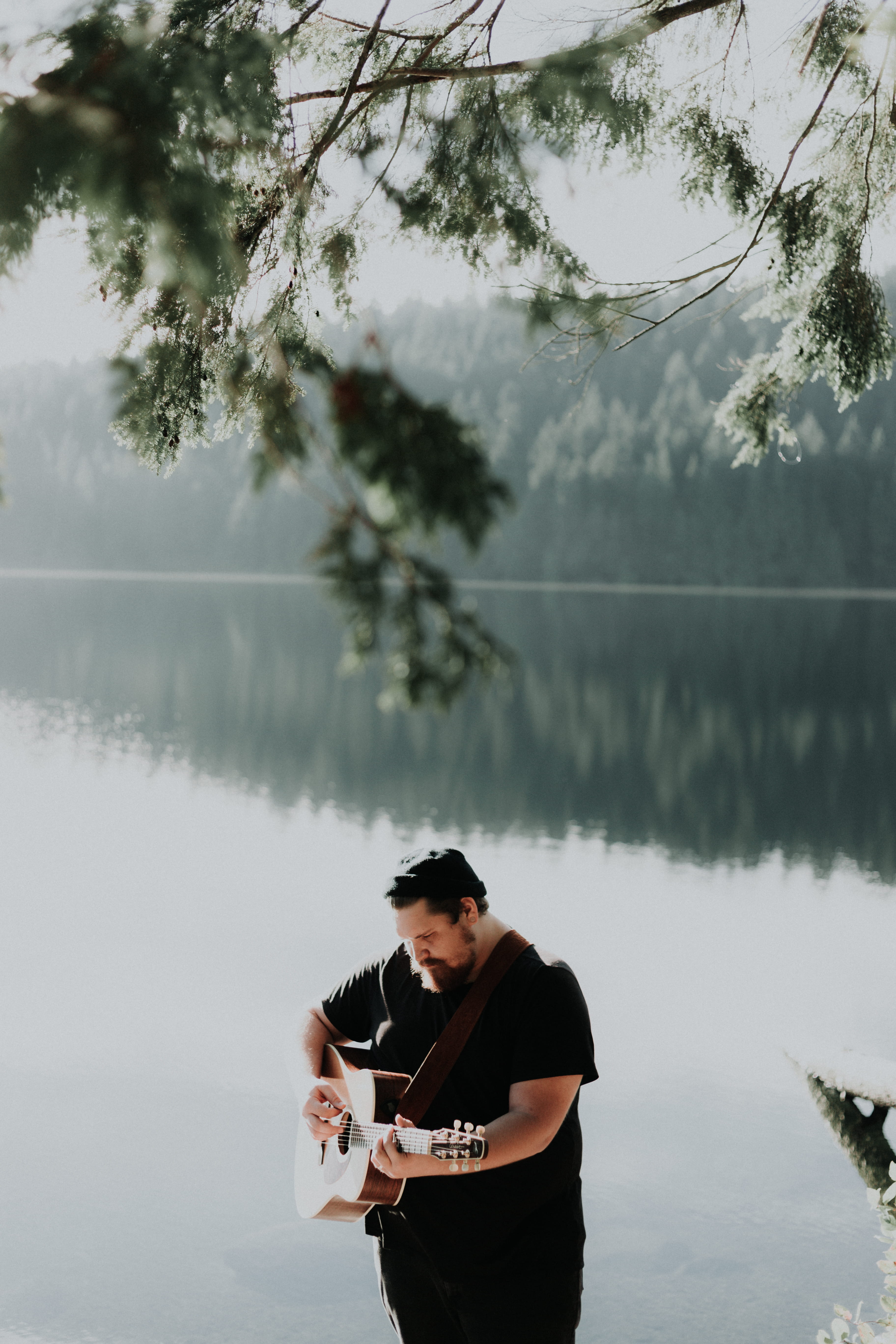 plucking an instrument, one person, tree, string instrument, near, musician, three quarter length, acoustic, playing, brown, man, nature, plant, leisure activity, Phone HD Wallpaper