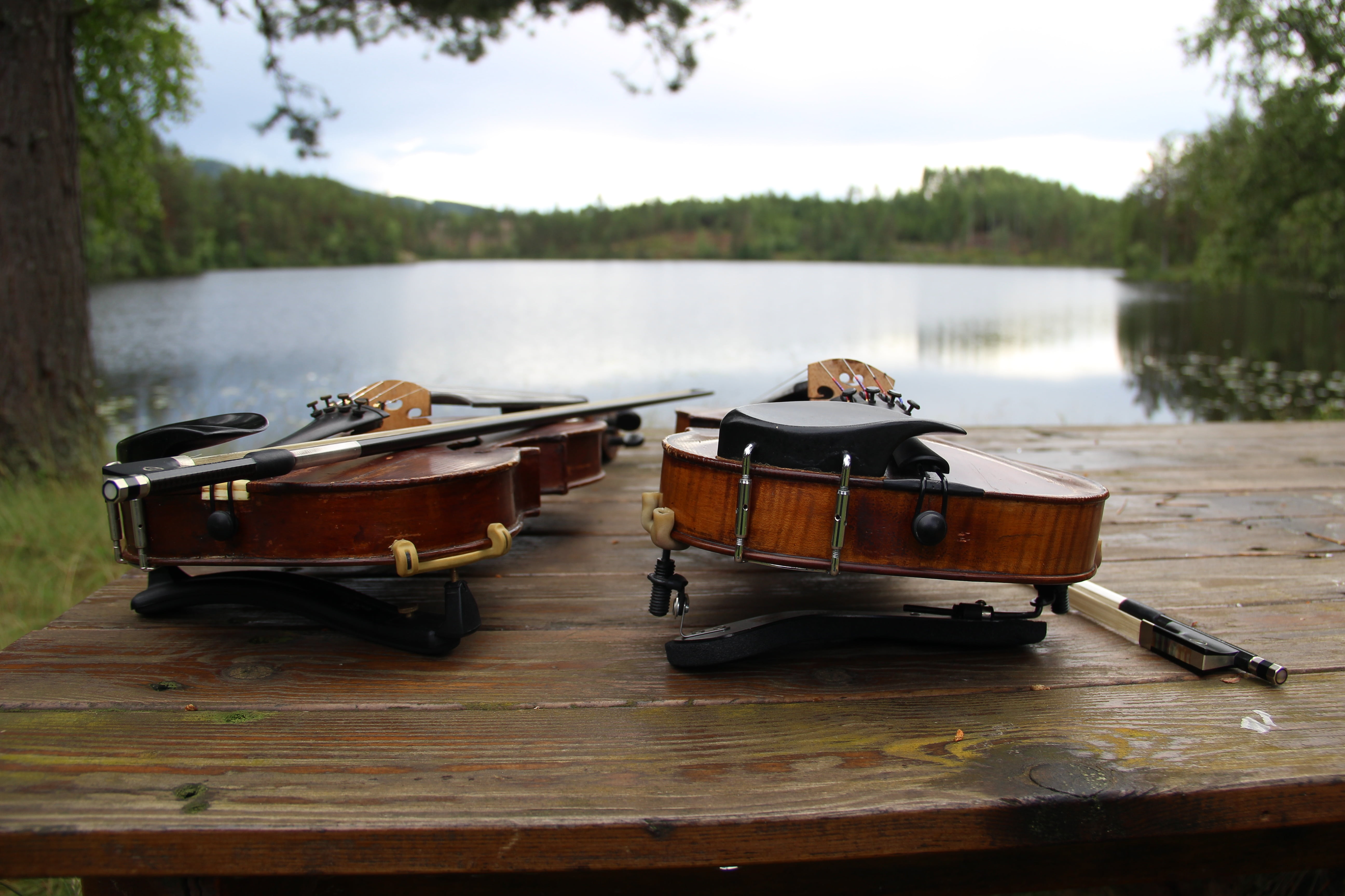 no people, day, musical equipment, guitar, transportation, nature, nautical vessel, water, violins, 5K, focus on foreground, arts culture and entertainment, HD Wallpaper