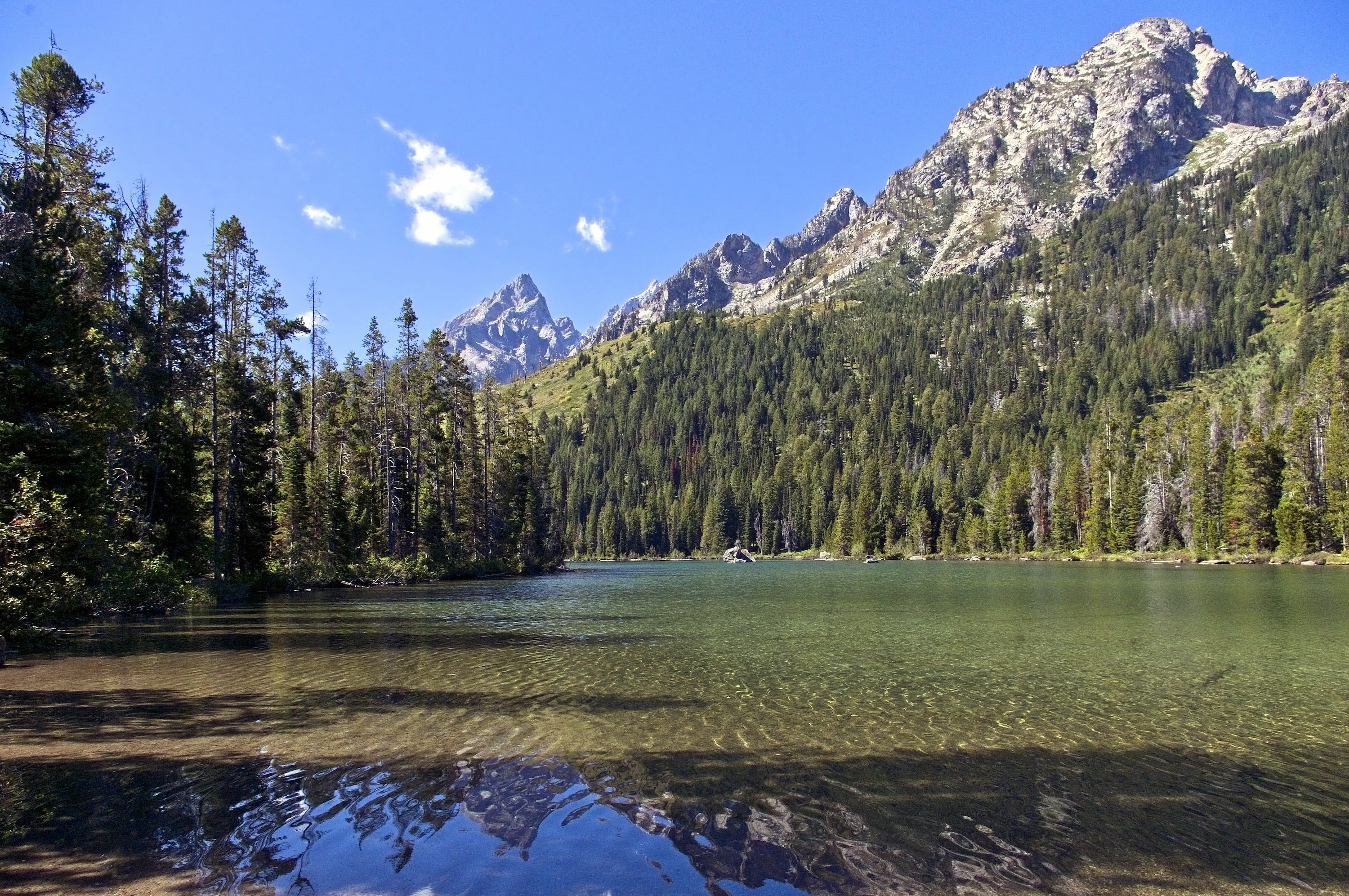 non-urban scene, summer, nature, mountains, water, beauty in nature, wilderness, reflection, landscape, pine woodland, growth, grand teton national park, HD Wallpaper