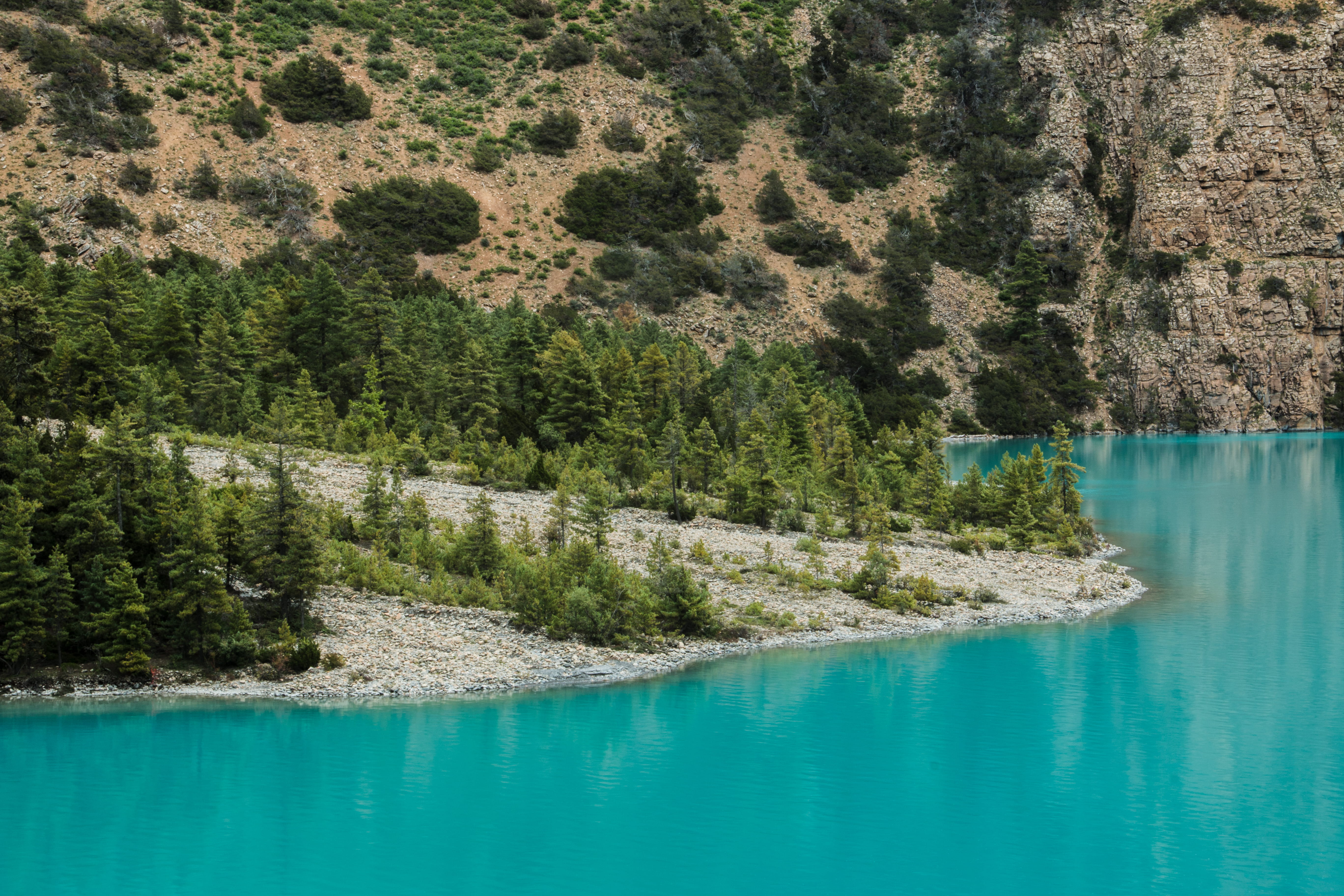 green color, waterfront, summer, day, plant, land, coniferous tree, pine trees, Shey Phoksundo Lake, photography, scenics - nature, beauty in nature, outdoors, HD Wallpaper