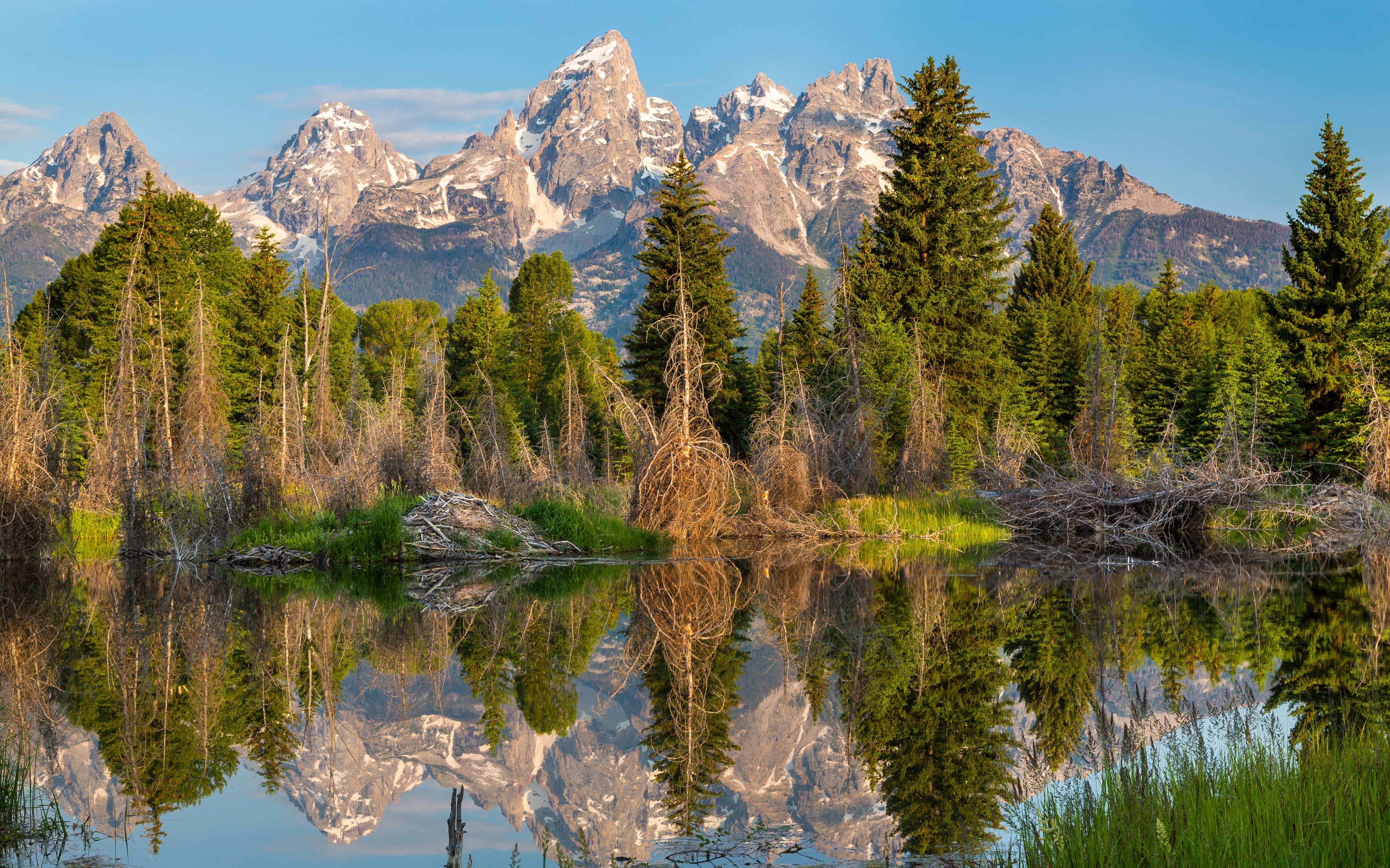 trees, beaverpond, wyoming, landscape, grandtetons, photography, 4K, sky, tranquility, travel destinations, scenics - nature, mountains, mountain, reflection, HD Wallpaper
