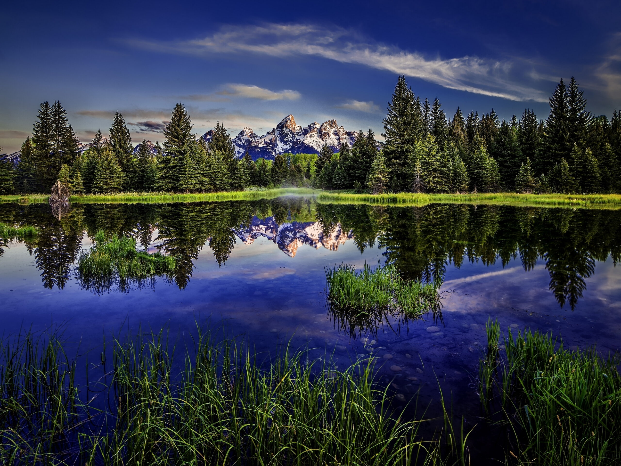 sky, growth, beauty in nature, no people, coniferous tree, 2K, Rocky Mountains, water, Beaver Pond, outdoors, Grand Teton, pine woodland, cloud - sky, HD Wallpaper