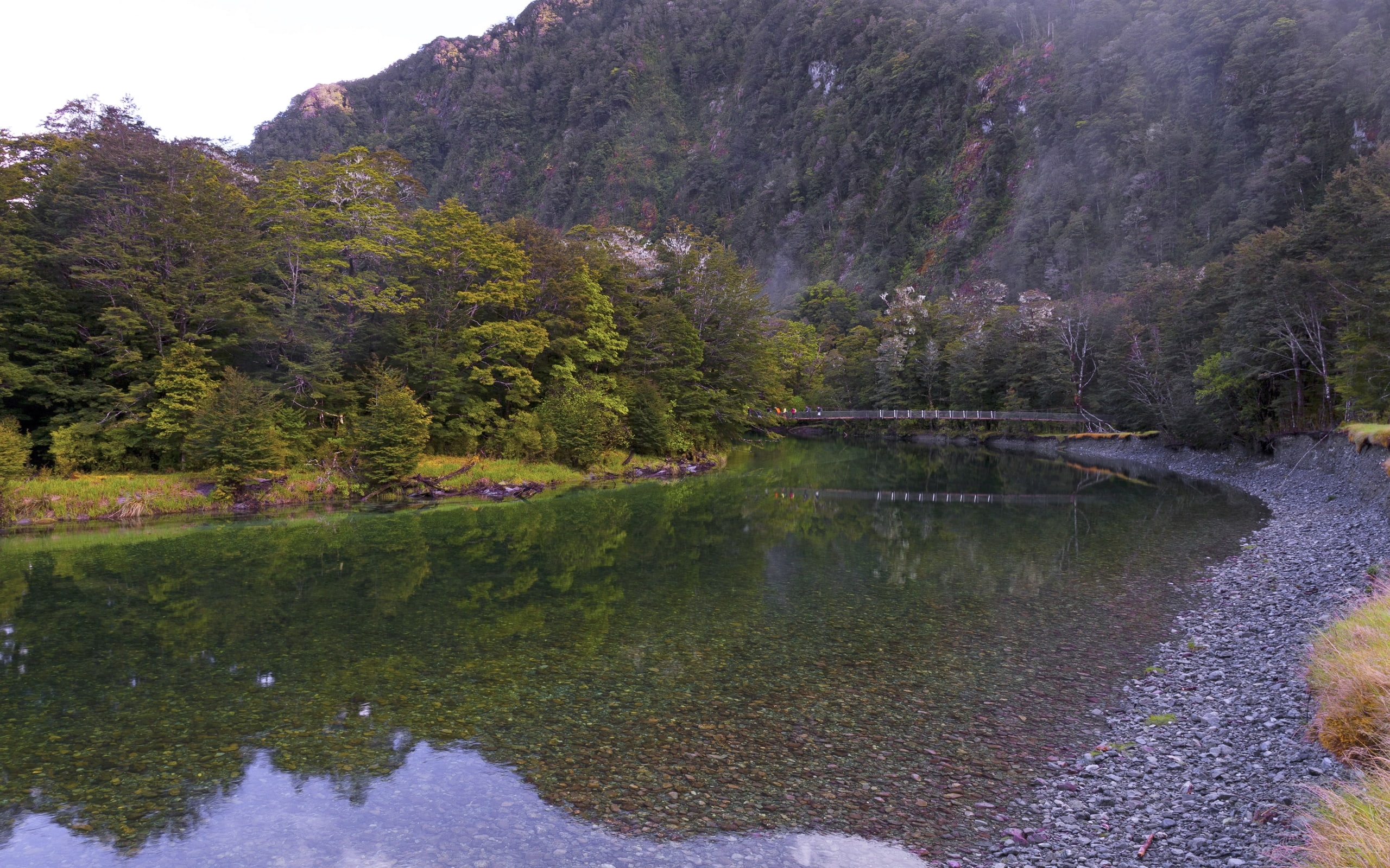 new, forests, clinton, nature, rivers, fiordland, parks, 2K, river, zealand, HD Wallpaper