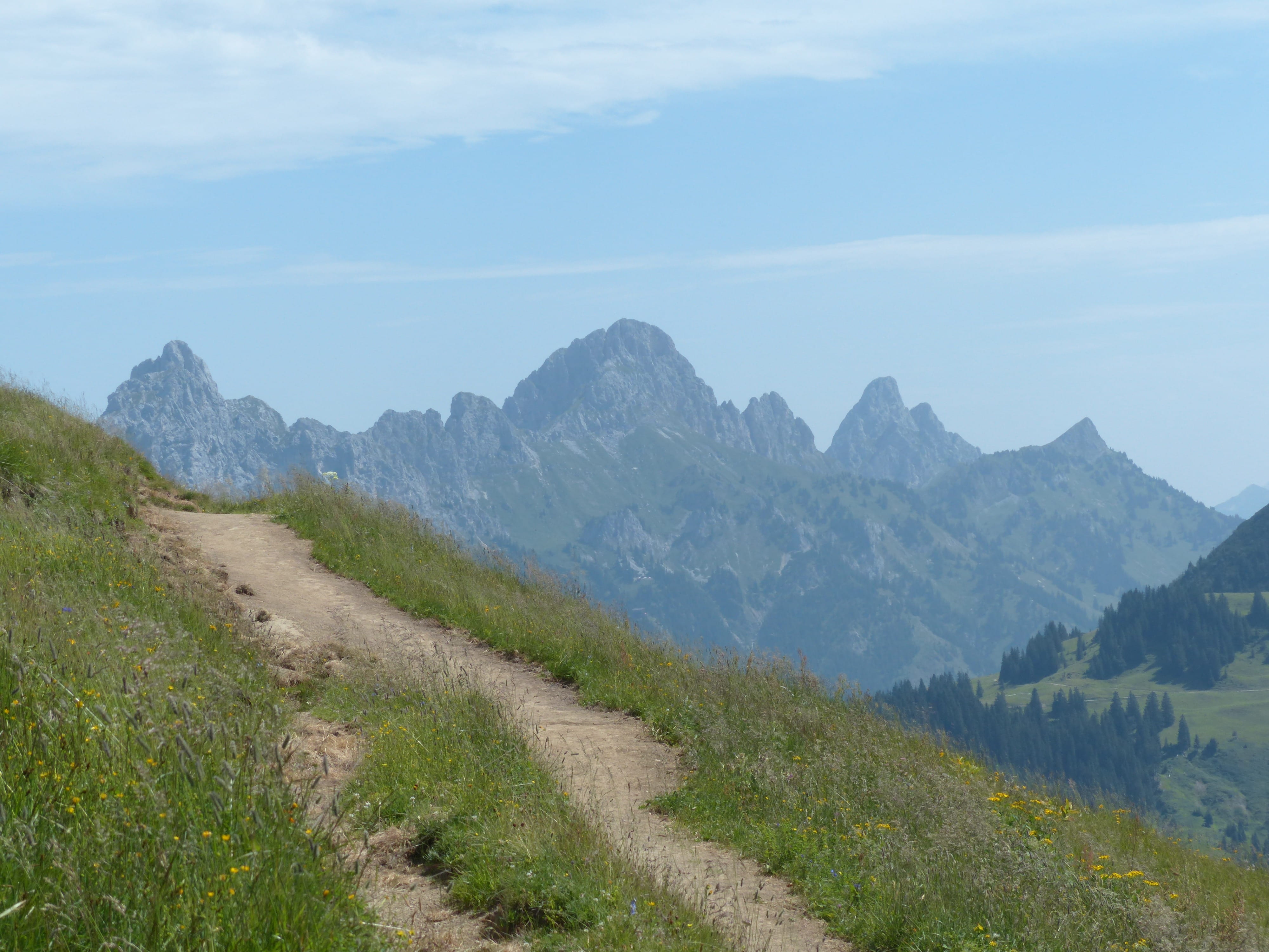 mountain, idyllic, allgäu alps, trowel top, beauty in nature, environment, outdoors, grass, road, day, plant, cloud - sky, tip of the miter, Alpine, direction, HD Wallpaper