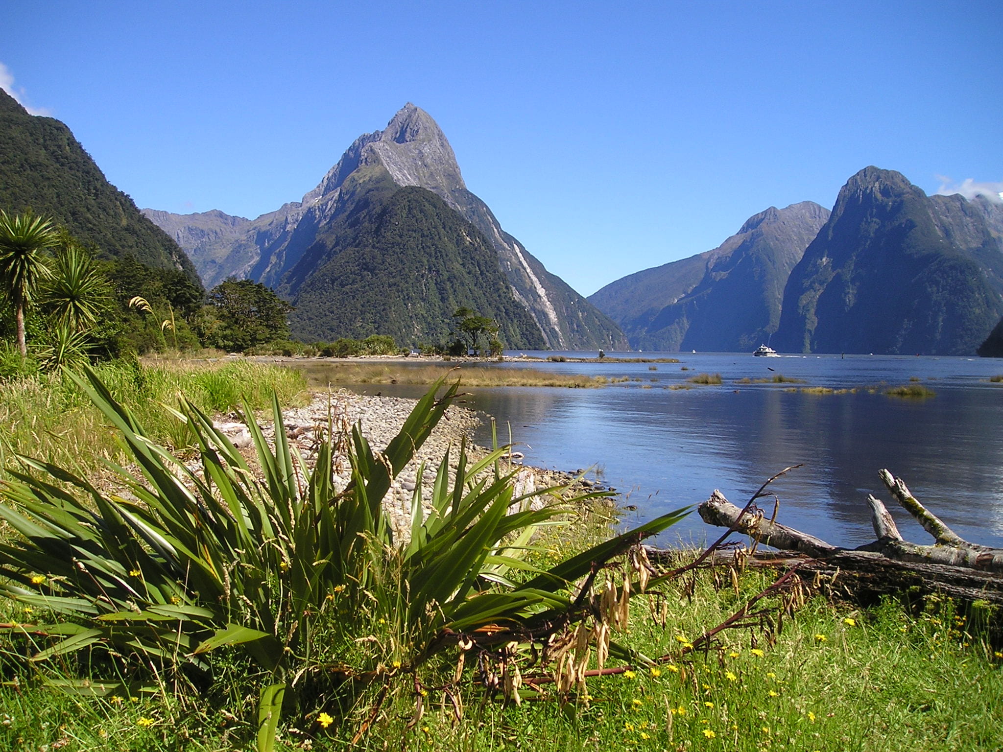 no people, landscape, idyllic, green, south island, environment, tree, non-urban scene, fiordland, clear sky, 1080P, new zealand, mountain range, beauty in nature, HD Wallpaper
