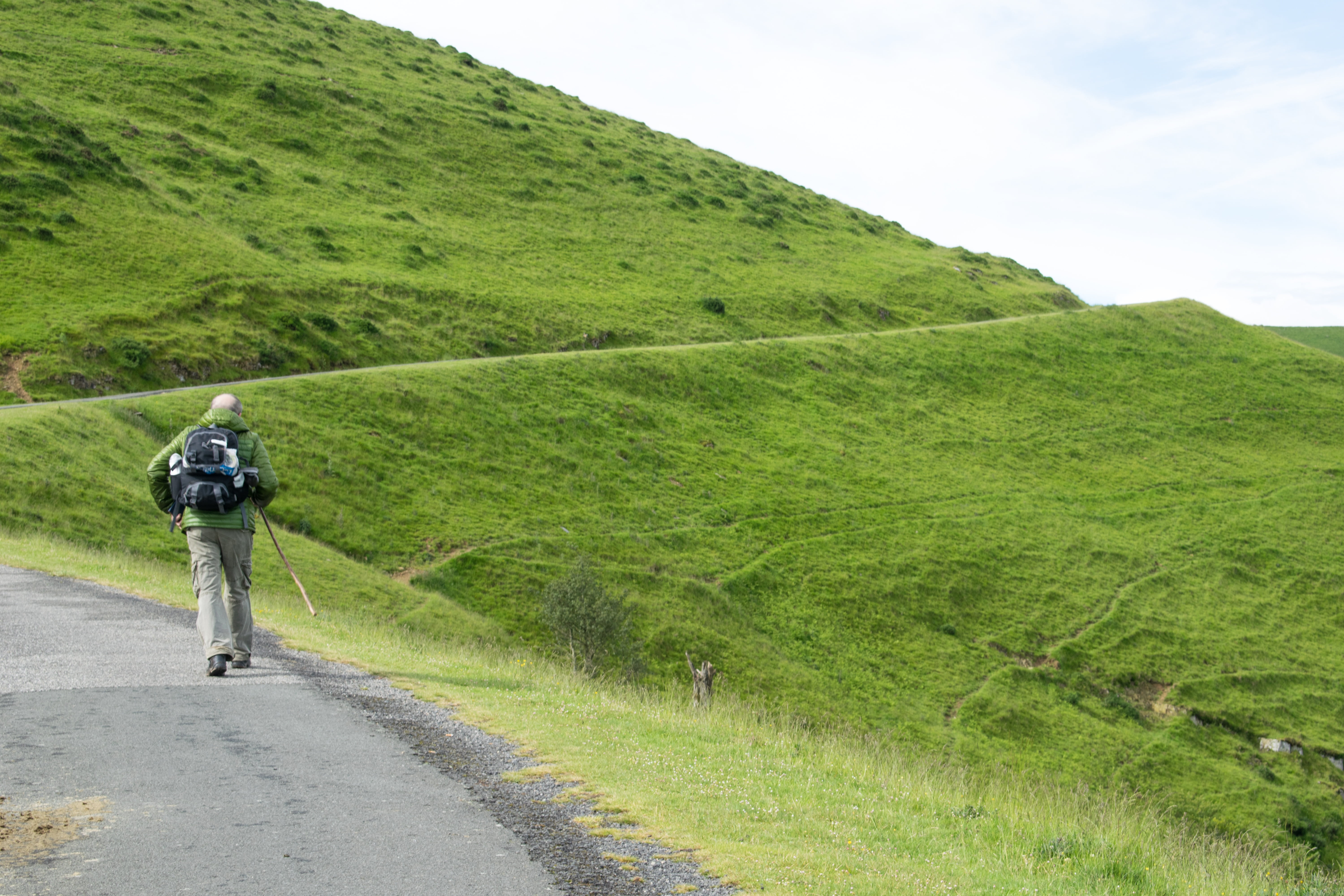 ride, scenics - nature, leisure activity, forest, road, backpacking, green color, quiet, vegetation, backpacker, places, transportation, street, tourism, HD Wallpaper