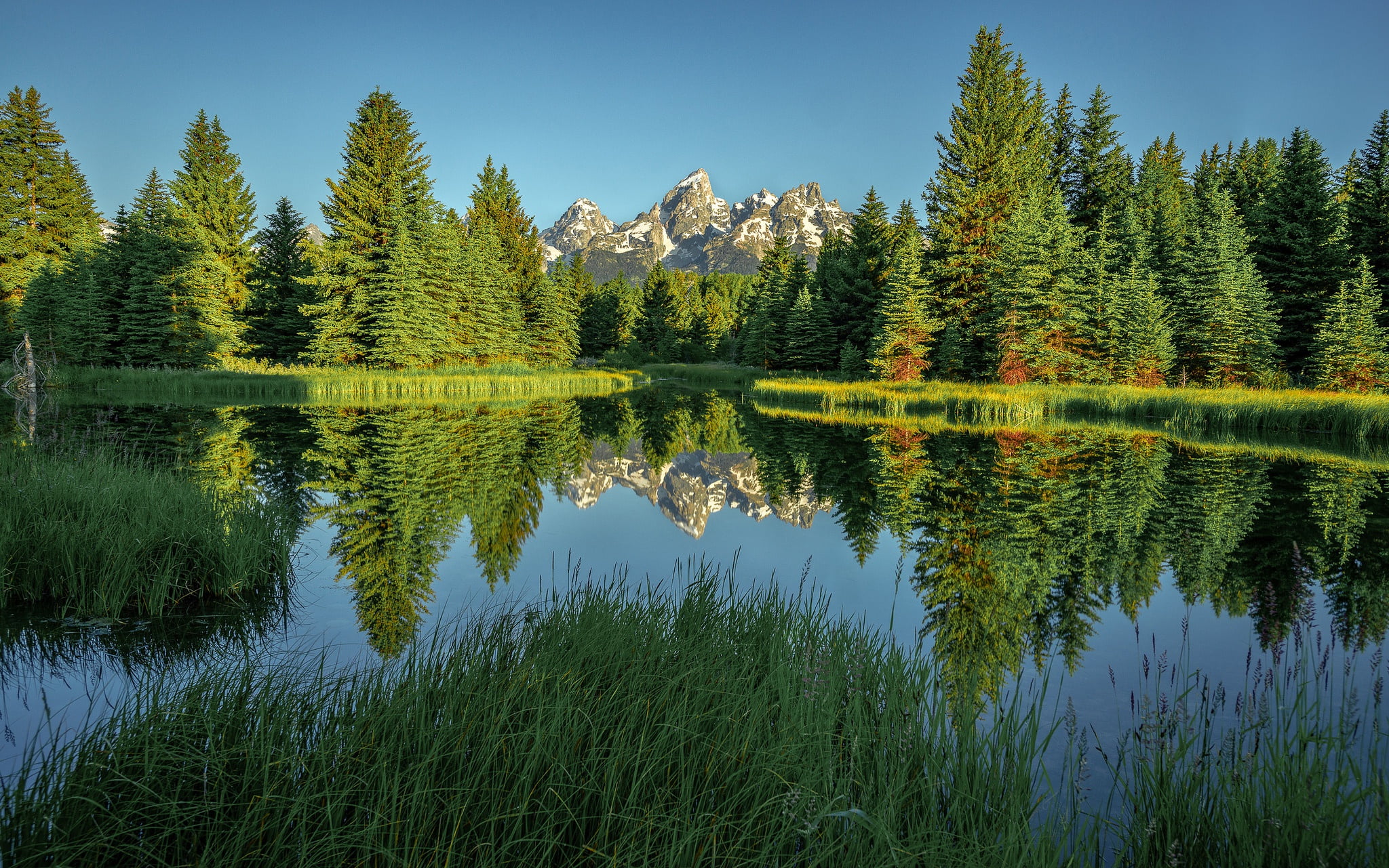 mountains, reflection, sky, reflection lake, waterfront, greens, non-urban scene, lake, National Park Grand Teton, tranquility, tree, water, scenics - nature, HD Wallpaper