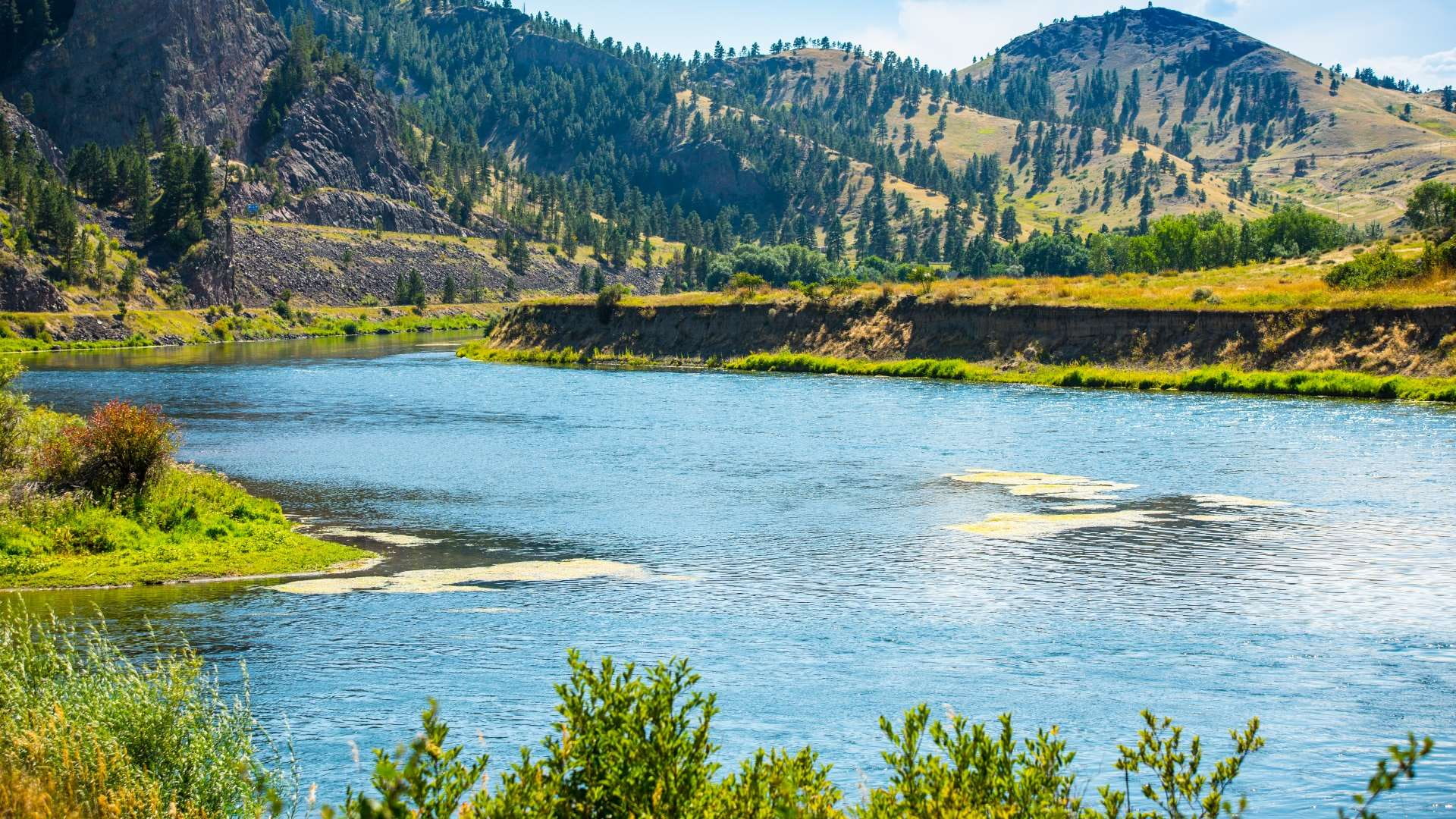 nature, environment, plant, tree, coniferous tree, beauty in nature, mountain, outdoors, yellowstone river in montana beauty, lake, day, tranquility, non-urban scene, HD Wallpaper