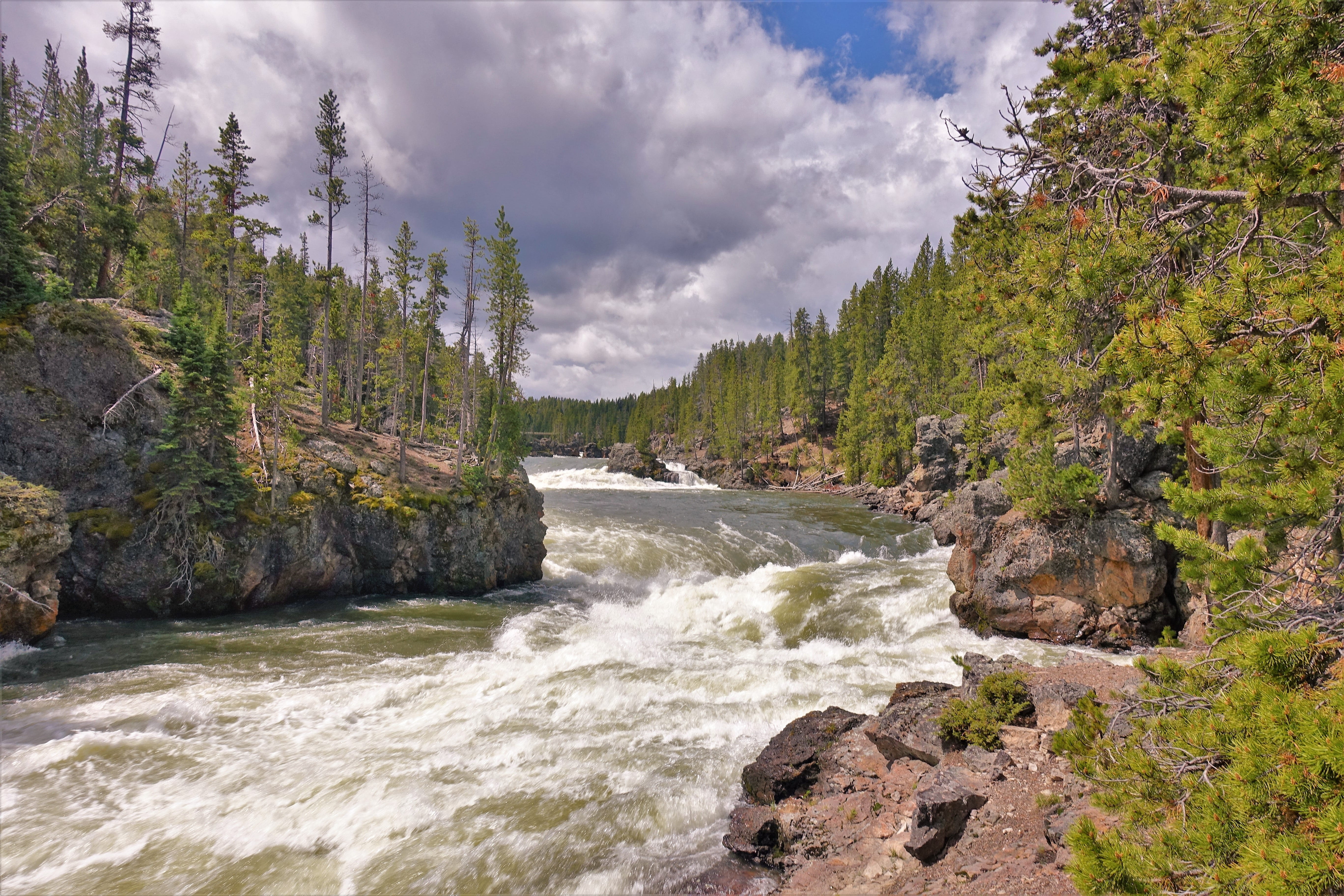 growth, land, flowing, hiking, motion, flowing water, non-urban scene, nature, 5K, wyoming, outdoors, day, beauty in nature, yellowstone, sky, trees, river, HD Wallpaper