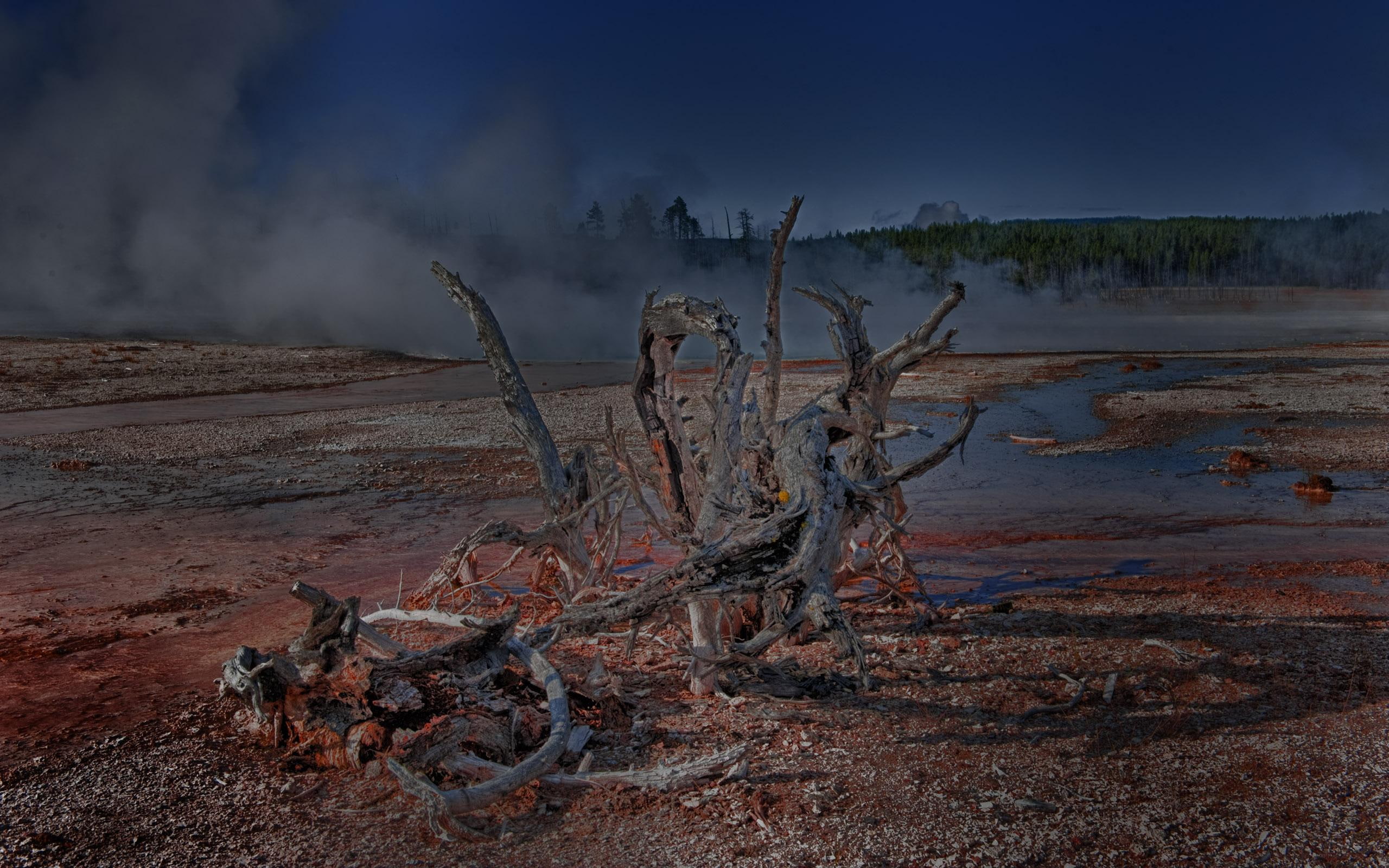 tree, yellowstone, dlbdata, 2K, landscape, lost, river, 3d and abstract, steam, HD Wallpaper