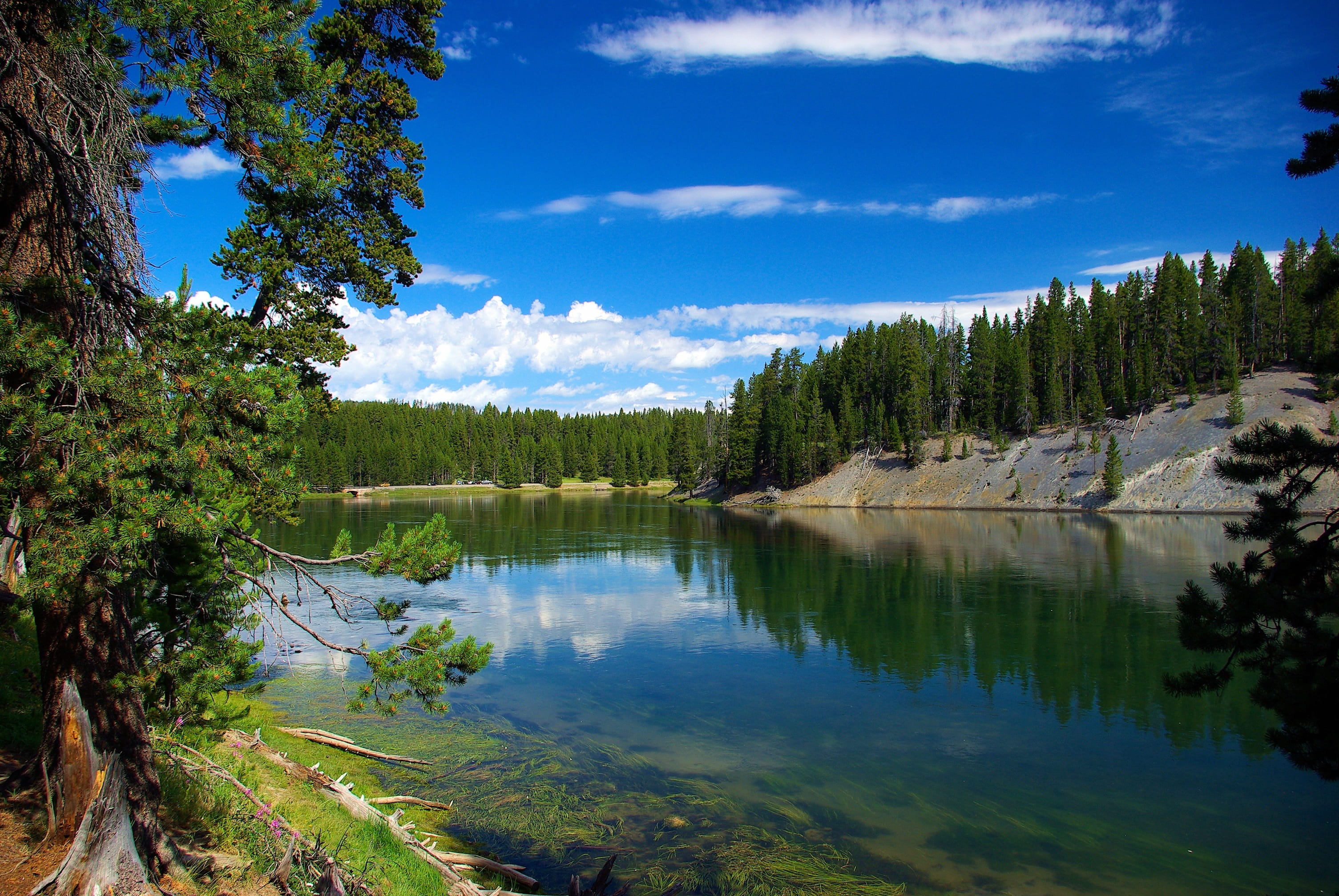 2K, water, pine woodland, cloud - sky, colorful, natural, idyllic, pine tree, woodland, beauty in nature, outdoors, nature, national, scenic, reflection, HD Wallpaper