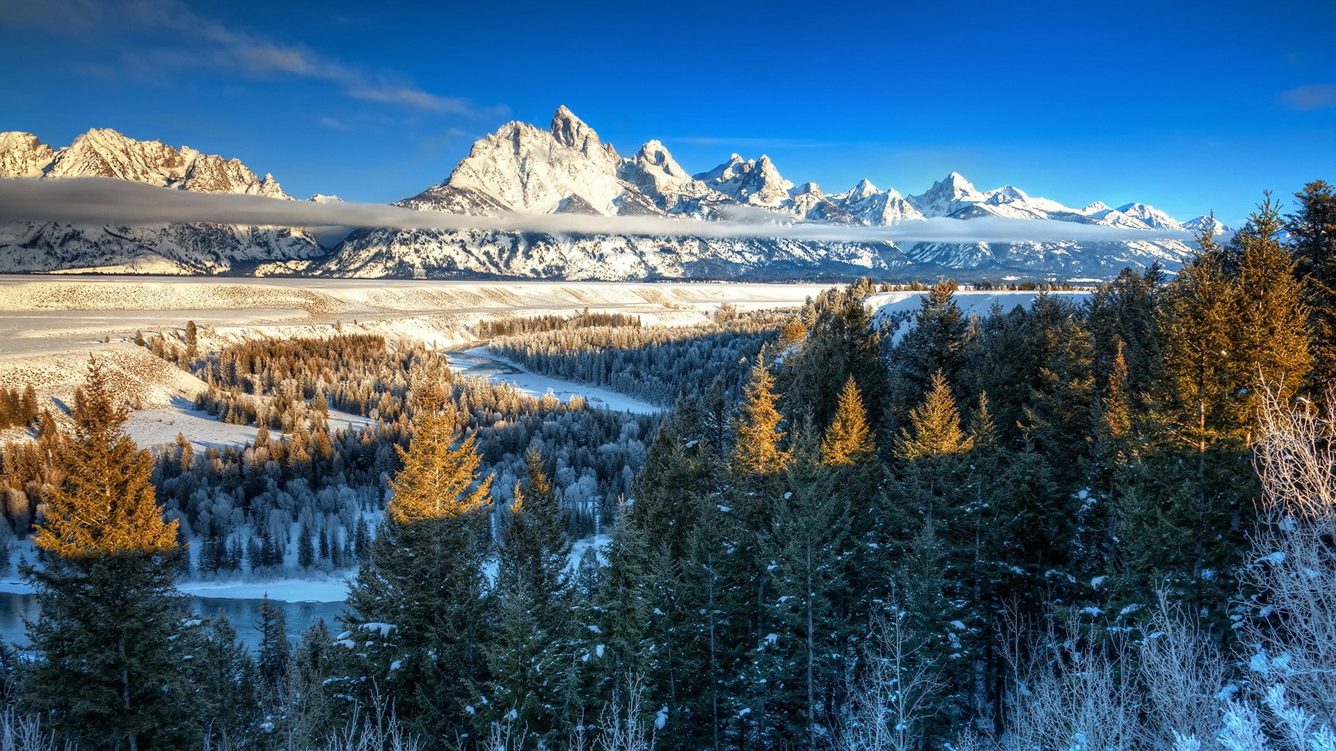 tranquility, snow, landscape, tree, 1080P, beauty in nature, Yellowstone National Park, cold temperature, sunlight, scenics - nature, plant, Trees, forest, HD Wallpaper