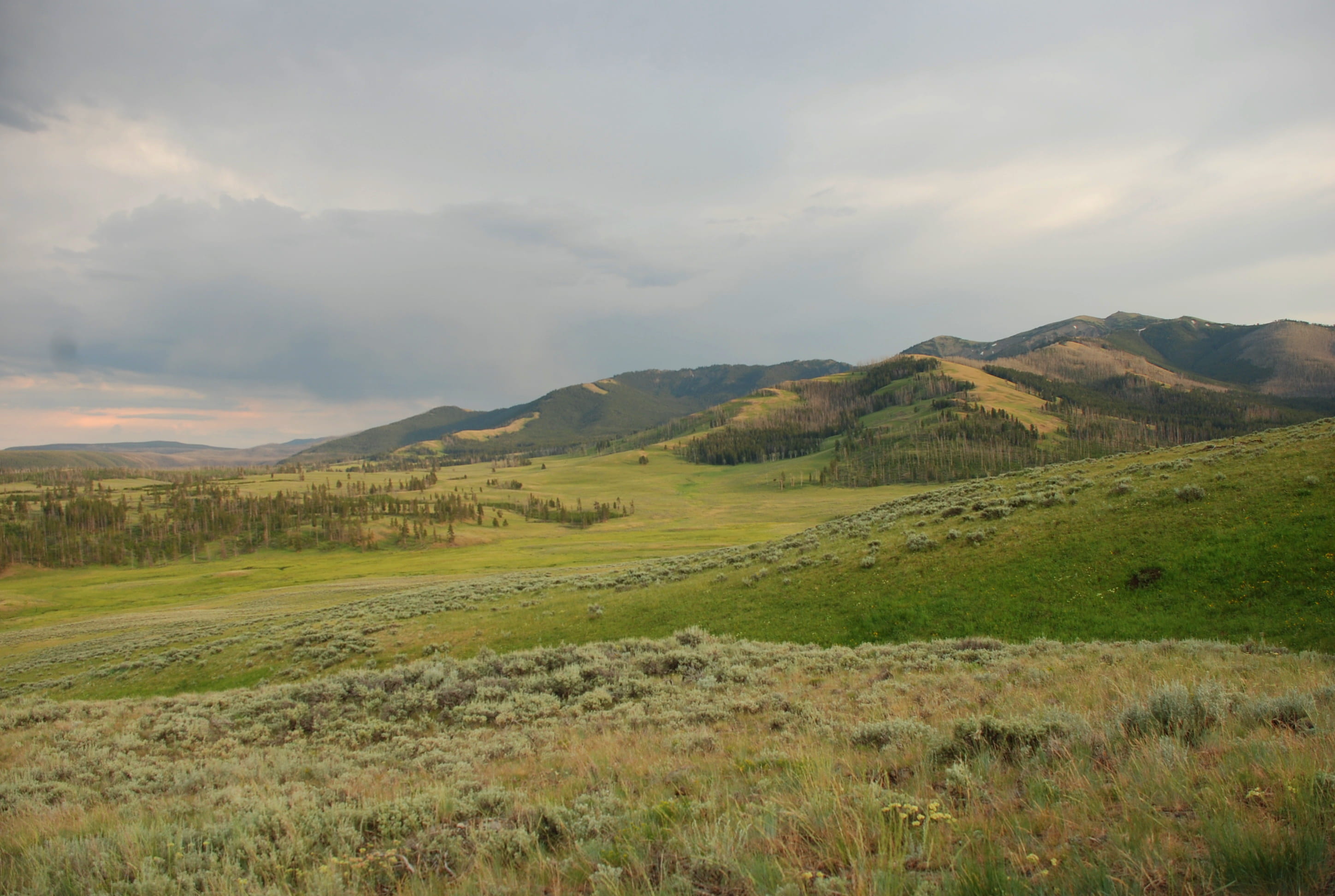 outdoors, land, scenics - nature, no people, beauty in nature, tranquility, landscape, nature, plant, day, sky, grass, cloud - sky, yellowstone np, 2K, HD Wallpaper