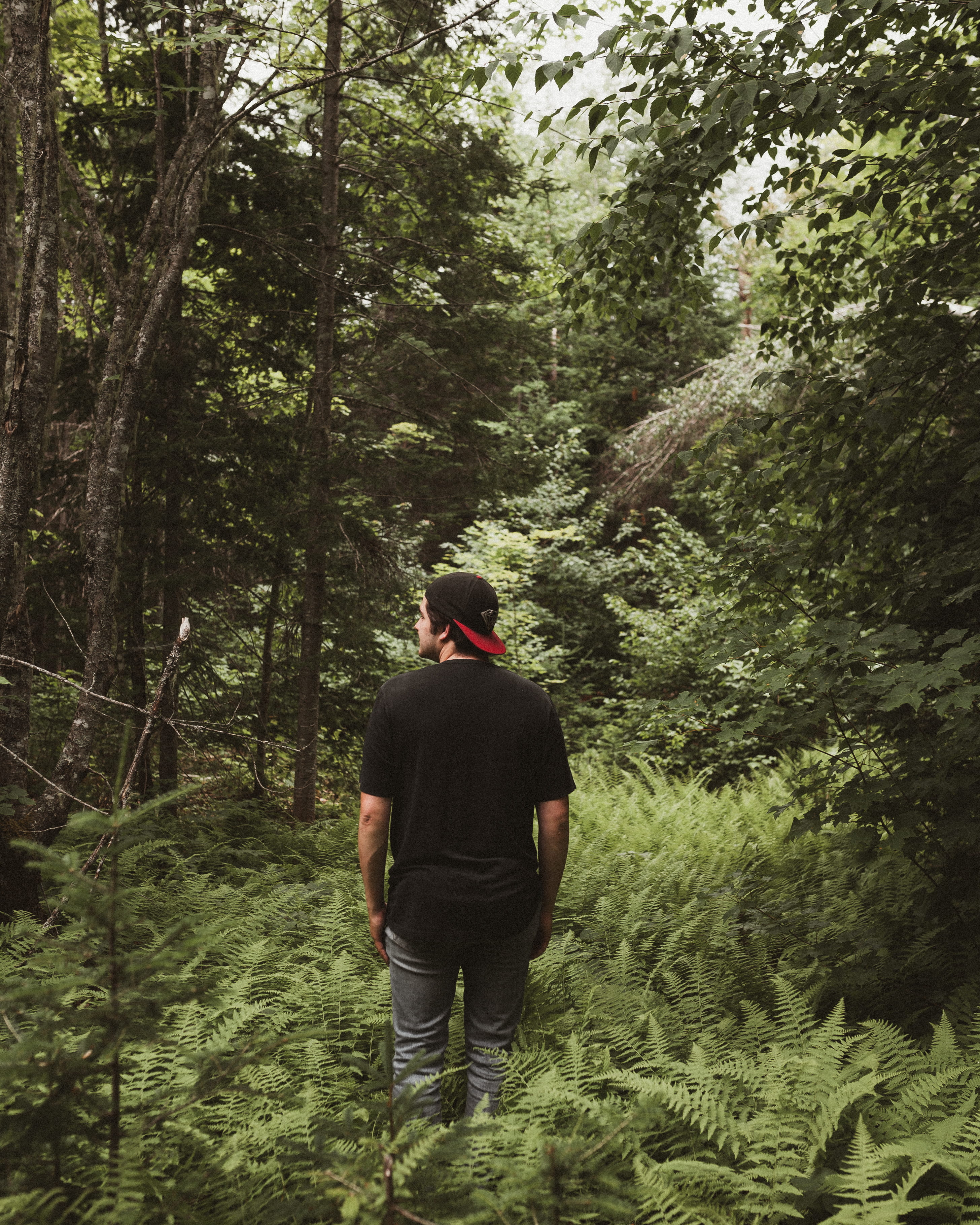 woods, tranquility, leisure activity, canadian, remote, trail, green, first nation, outdoors, rear view, growth, new brunswick, plant, native american, Phone HD Wallpaper
