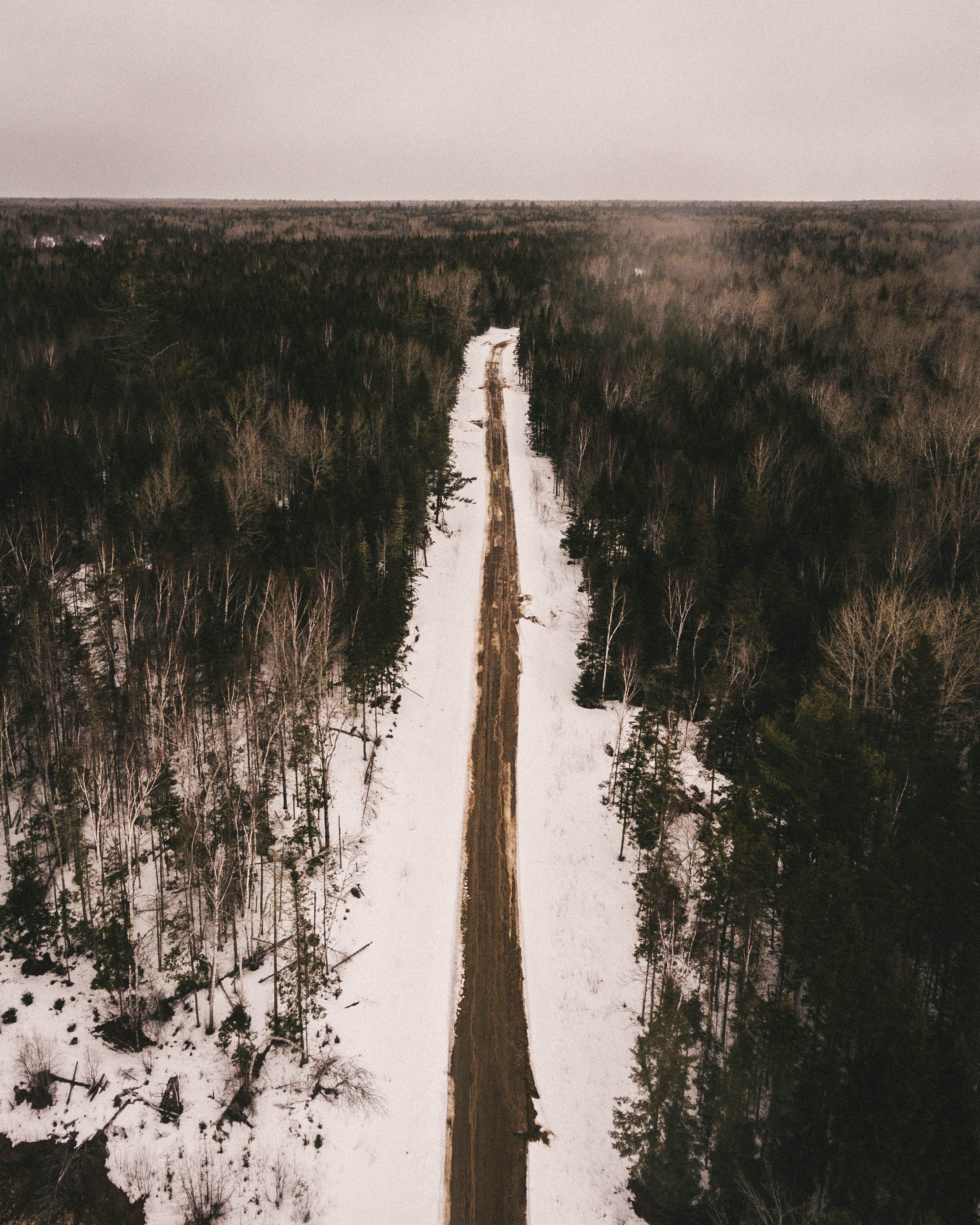 growth, land, tranquil scene, beauty in nature, day, tree, non-urban scene, reflection, road, mud, new brunswick, tranquility, indian, sky, water, snow, Phone HD Wallpaper