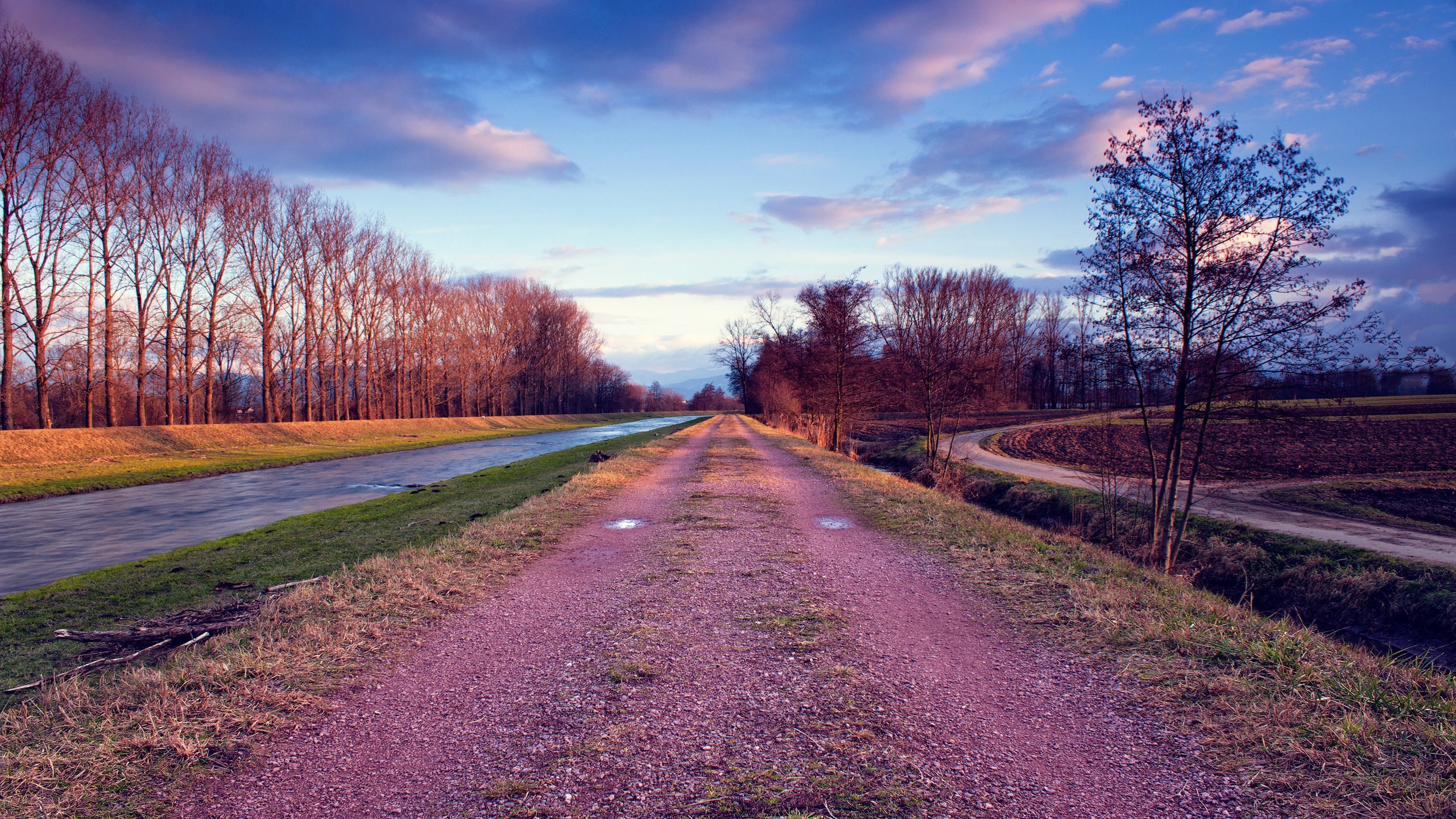 grass, trees, river, 2K, way, stony, sky, clouds, road, pools, HD Wallpaper