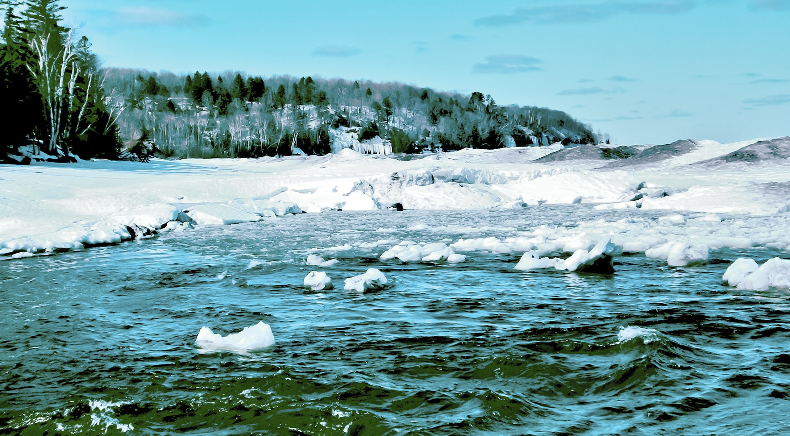 animal themes, scenics - nature, salmon-trout river, ocean, group of animals, waterfront, herman, outdoors, late winter, day, water, ogdo, green, bird, HD Wallpaper