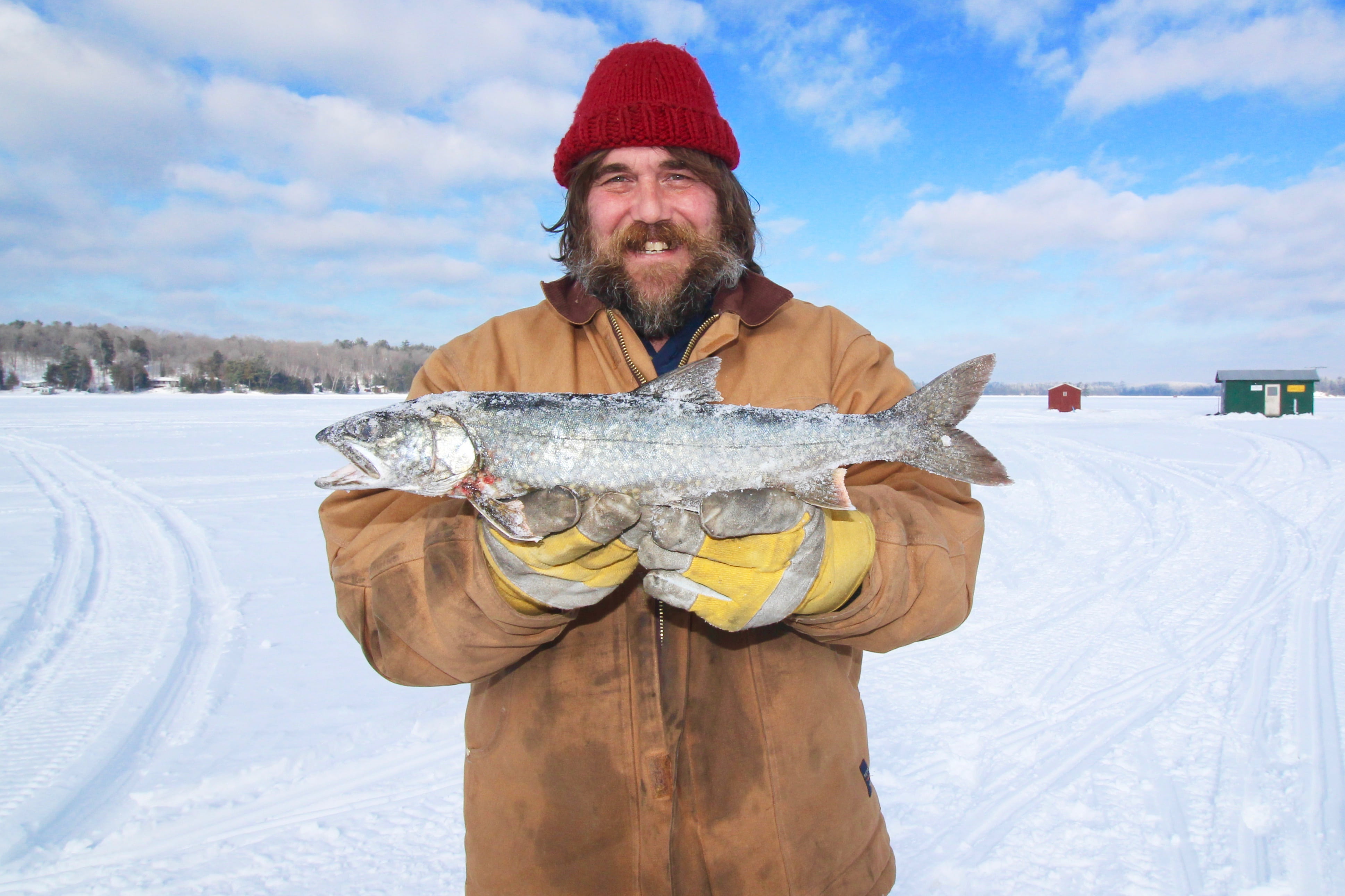 holding, beard, lake, cold temperature, winter, emotion, fish, males, cold, outdoor, frozen, smiling, nature, looking at camera, warm clothing, ice fishing, HD Wallpaper