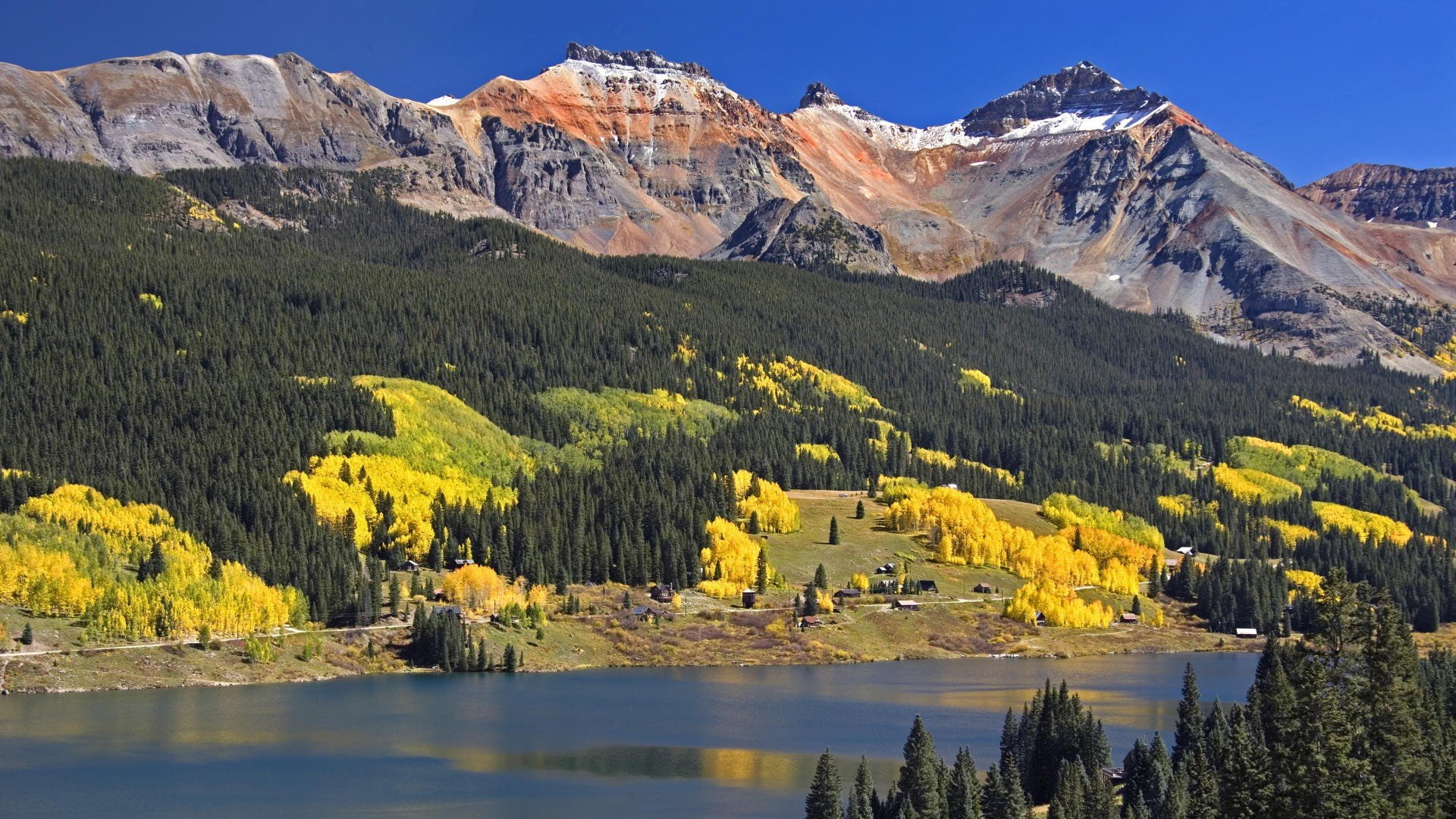 head, trout, colors, lakes, colorado, 1080P, yellow, HD Wallpaper