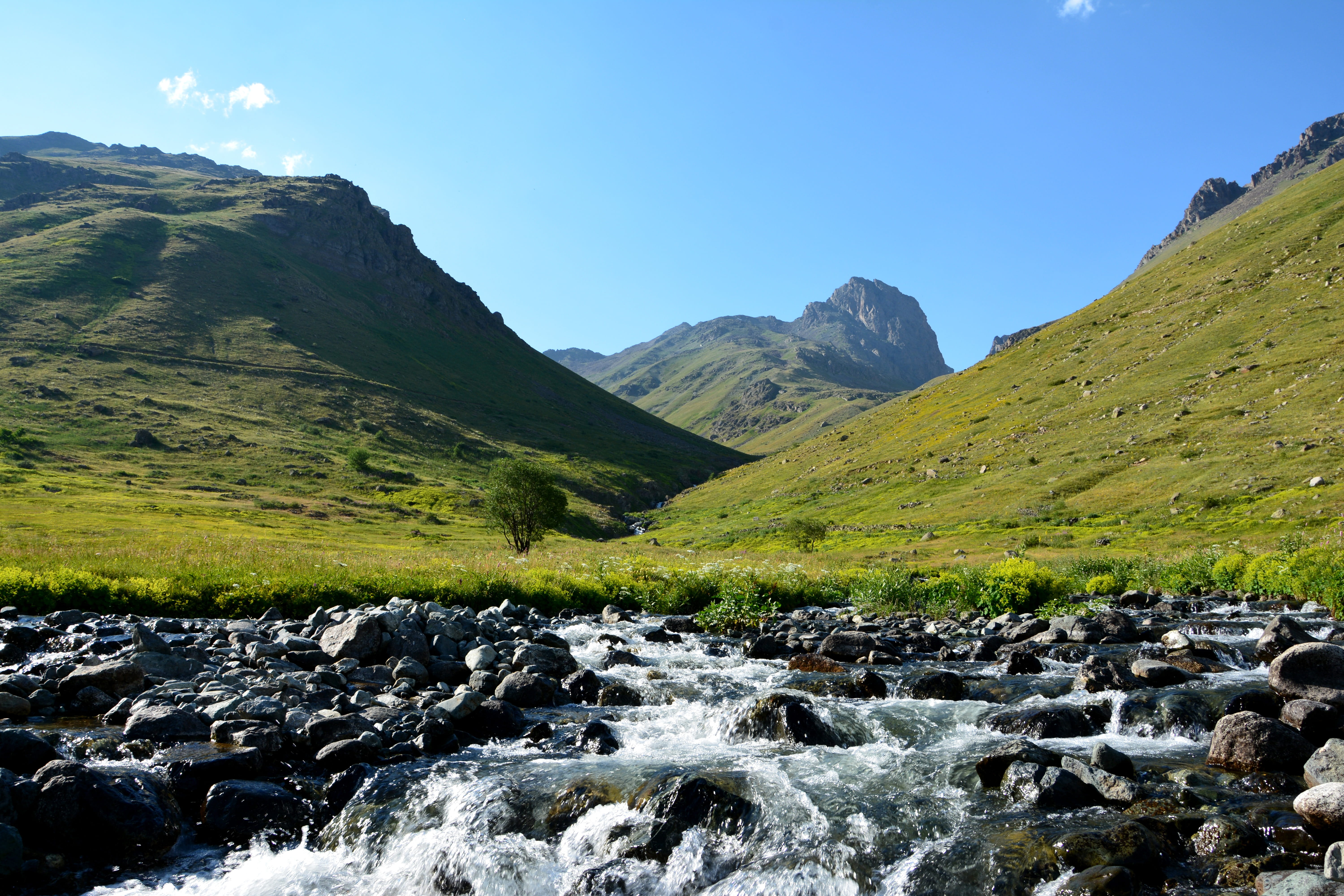 from gateway, scenics - nature, Landscape, dom, stream - flowing water, passion, fog, beautiful, flowing water, Nature, spring flowers, river, white clouds, HD Wallpaper