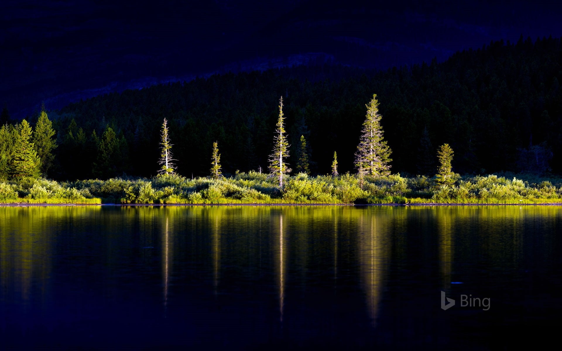 scenics - nature, no people, night, beauty in nature, lake, outdoors, 1080P, forest, sky, park, reflection, tranquil scene, tranquility, coniferous tree, HD Wallpaper