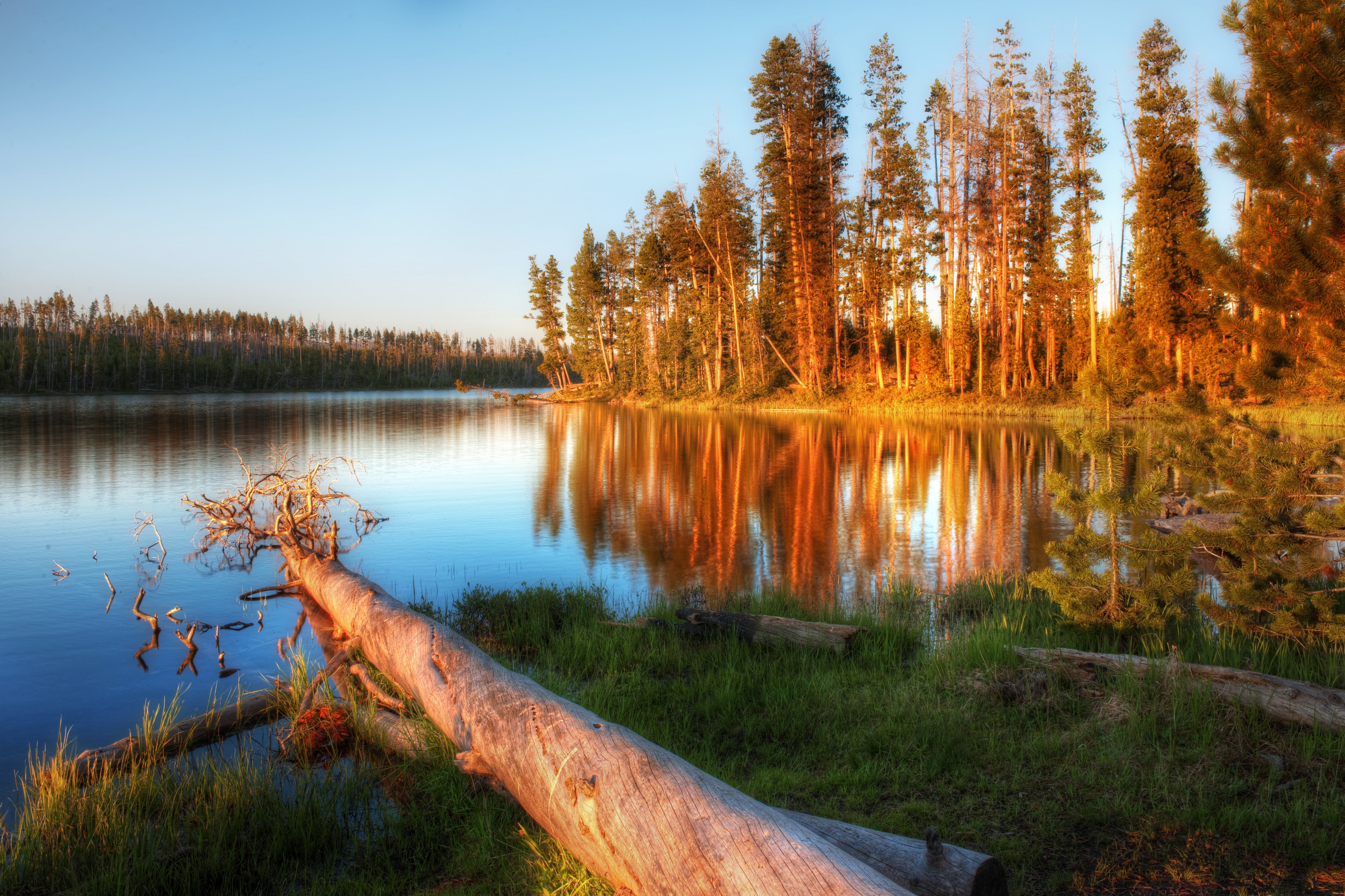 tranquil Scene, view, colors, forest, near, icy, cut, down, outdoors, ice  lake, reflection, gorgeous, tree, nice, Ice Lake, magical, nature, cool, sky, HD Wallpaper