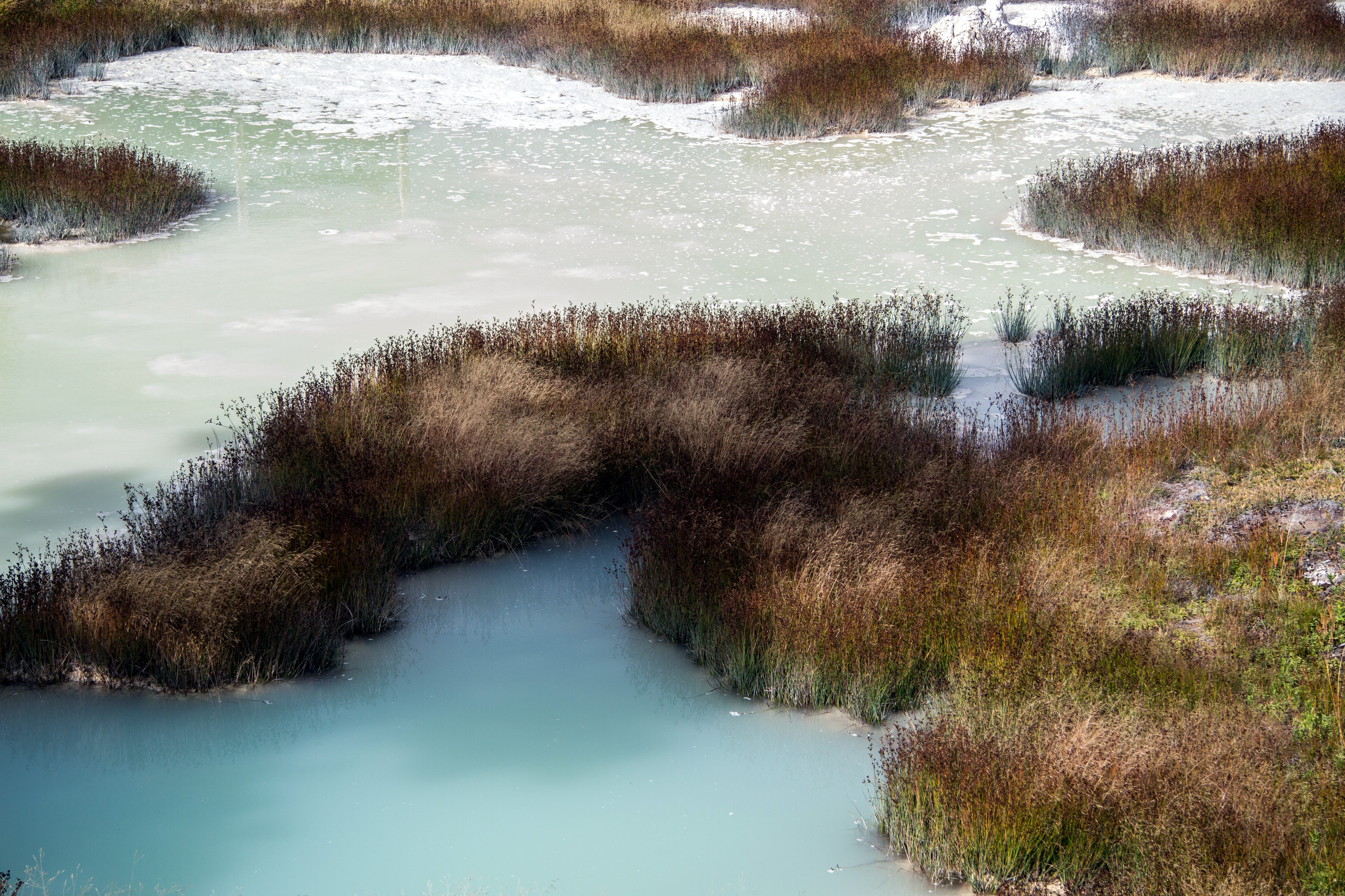 flowing water, scenics - nature, tranquil scene, lake, beauty in nature, high angle view, outdoors, idyllic, growth, yellowstone, land, park, Wyoming, usa, HD Wallpaper