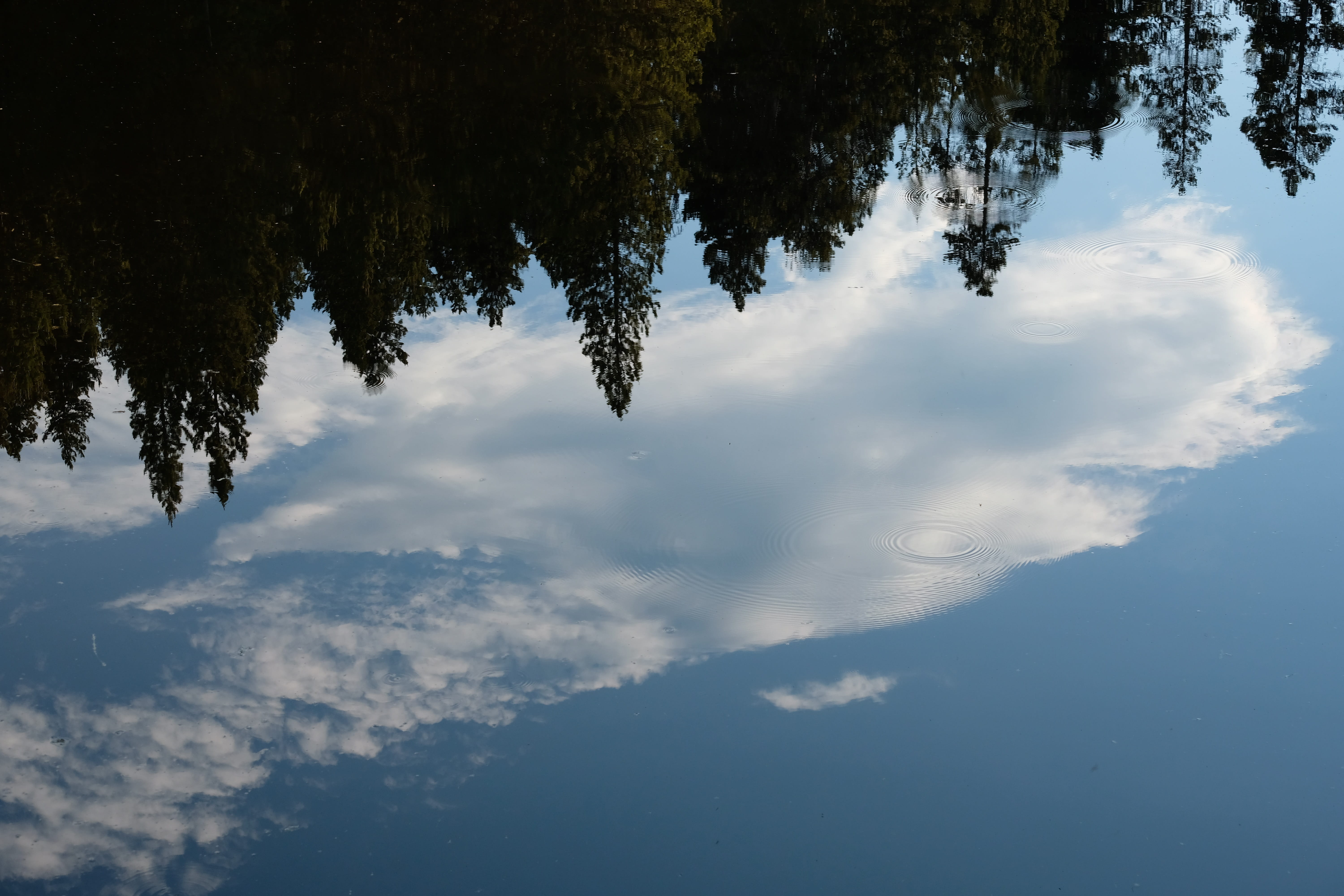yellowstone, no people, day, clouds, pure, tranquil scene, low angle view, cloud - sky, wood, quiet, blue, reflection, lake, plant, sun, landscape, mirror, HD Wallpaper